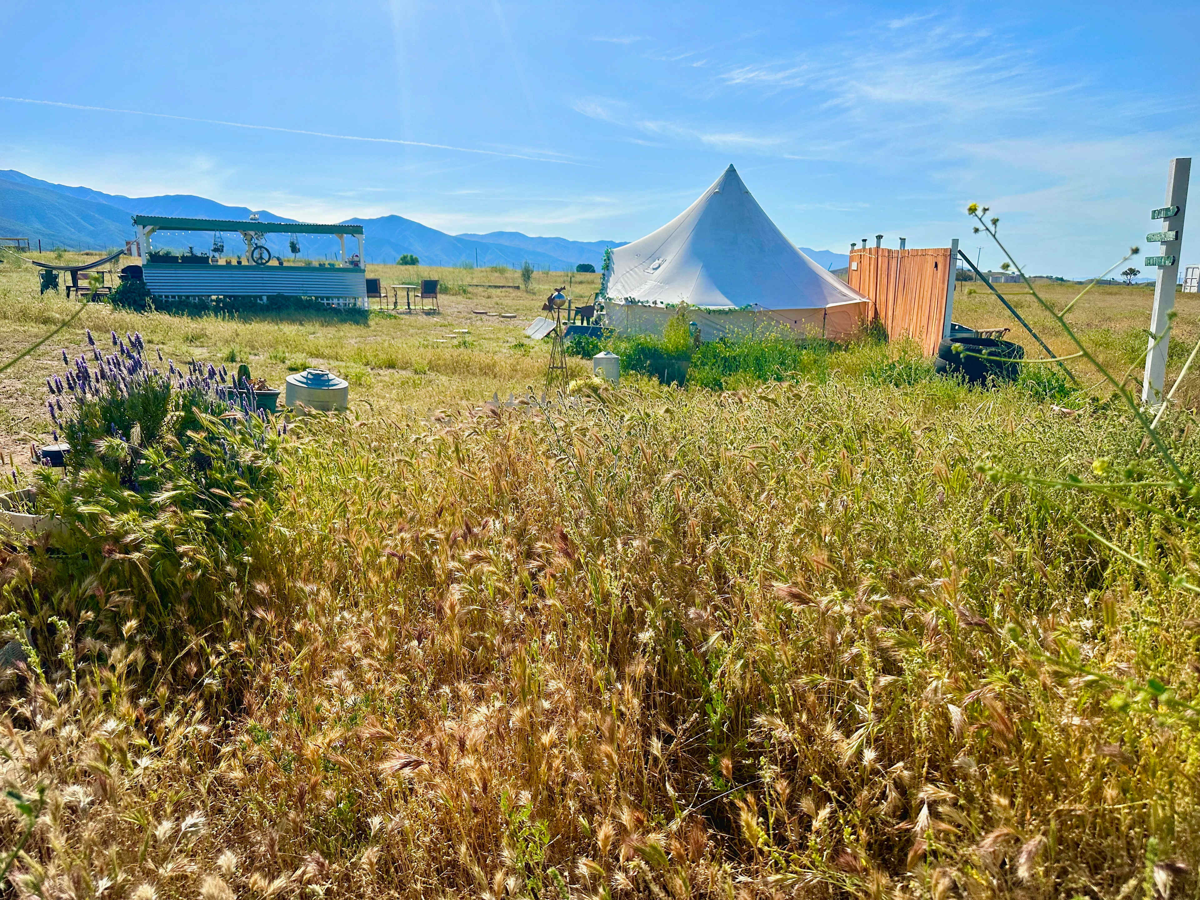Cuyama Oaks Ranch