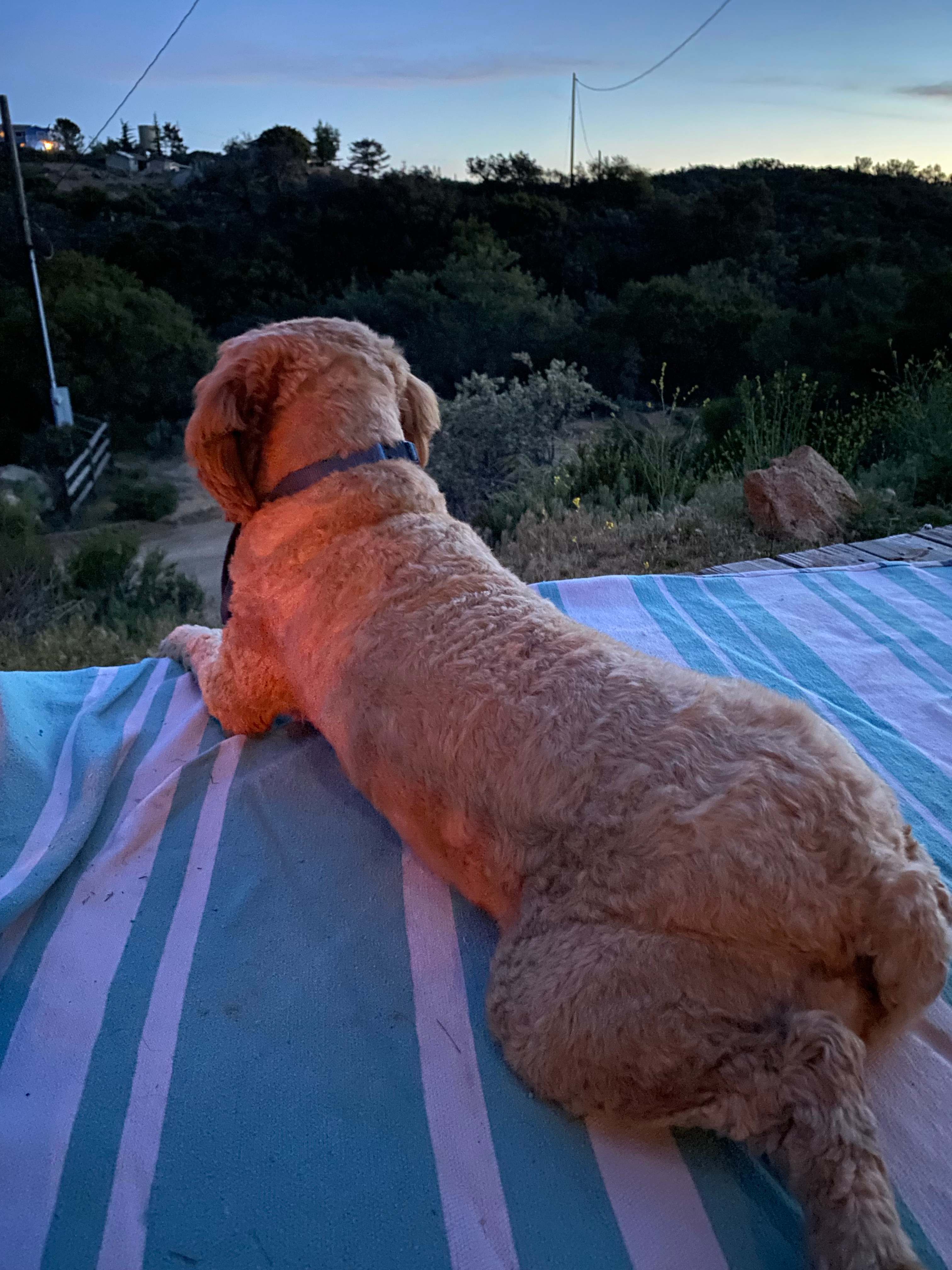 Manzanita Ridge