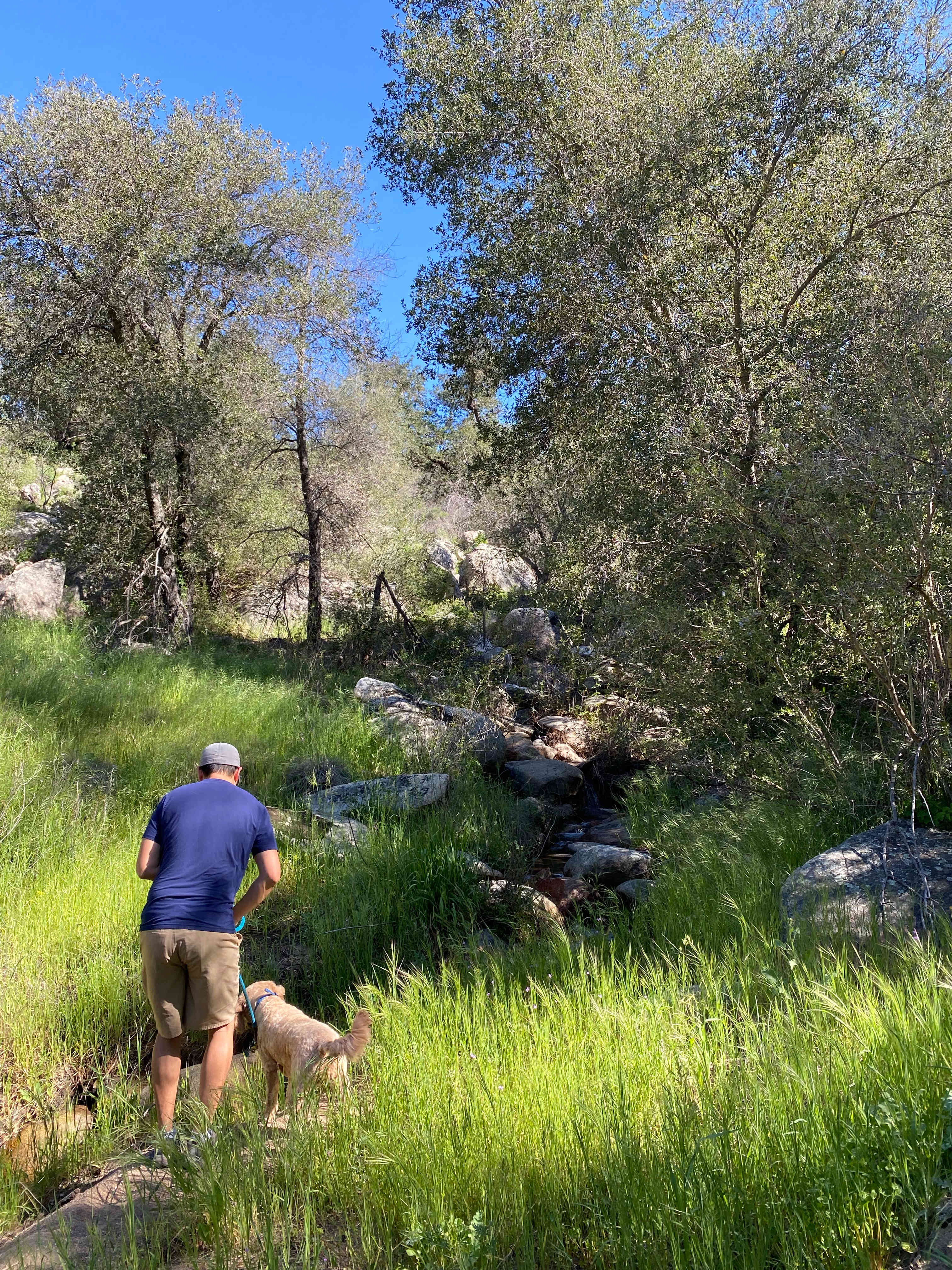 Manzanita Ridge