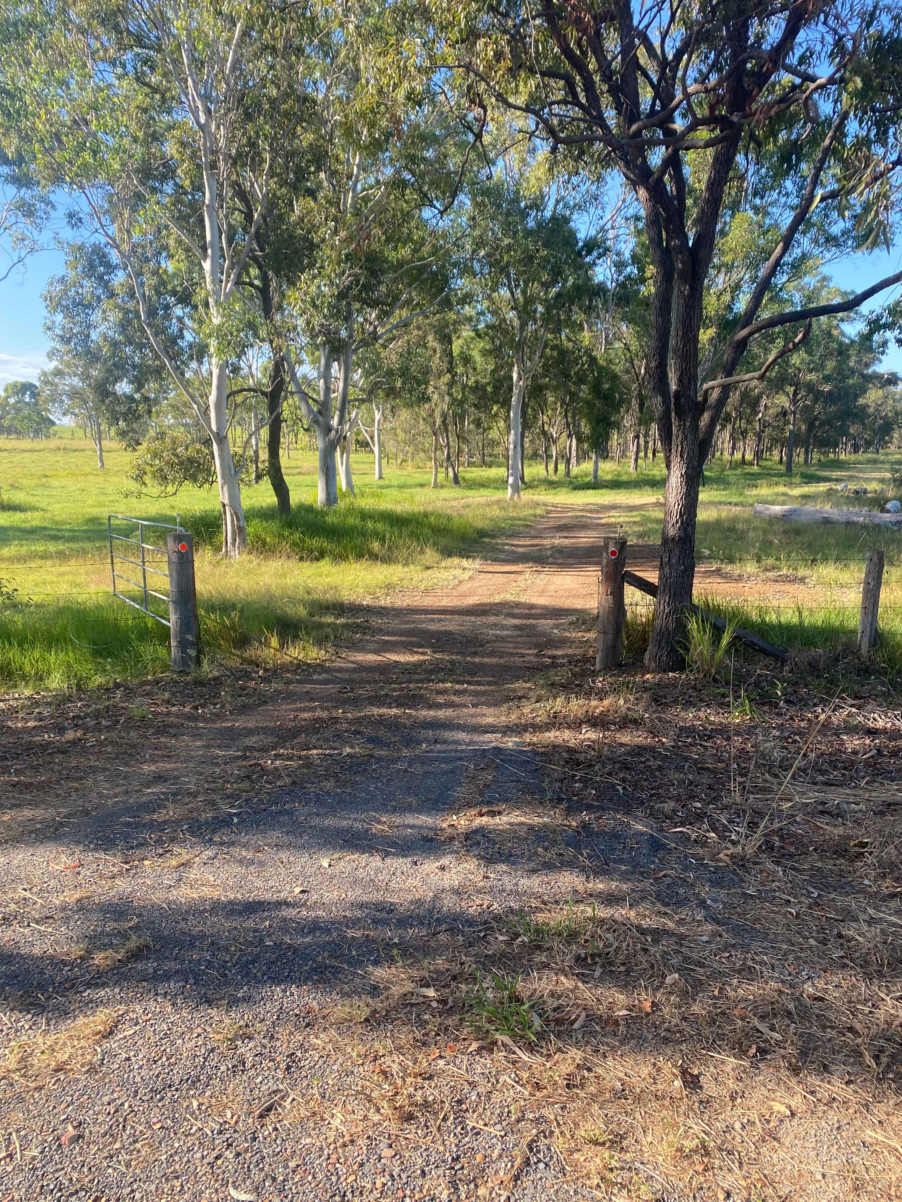 Carlton Farm, Hervey Bay