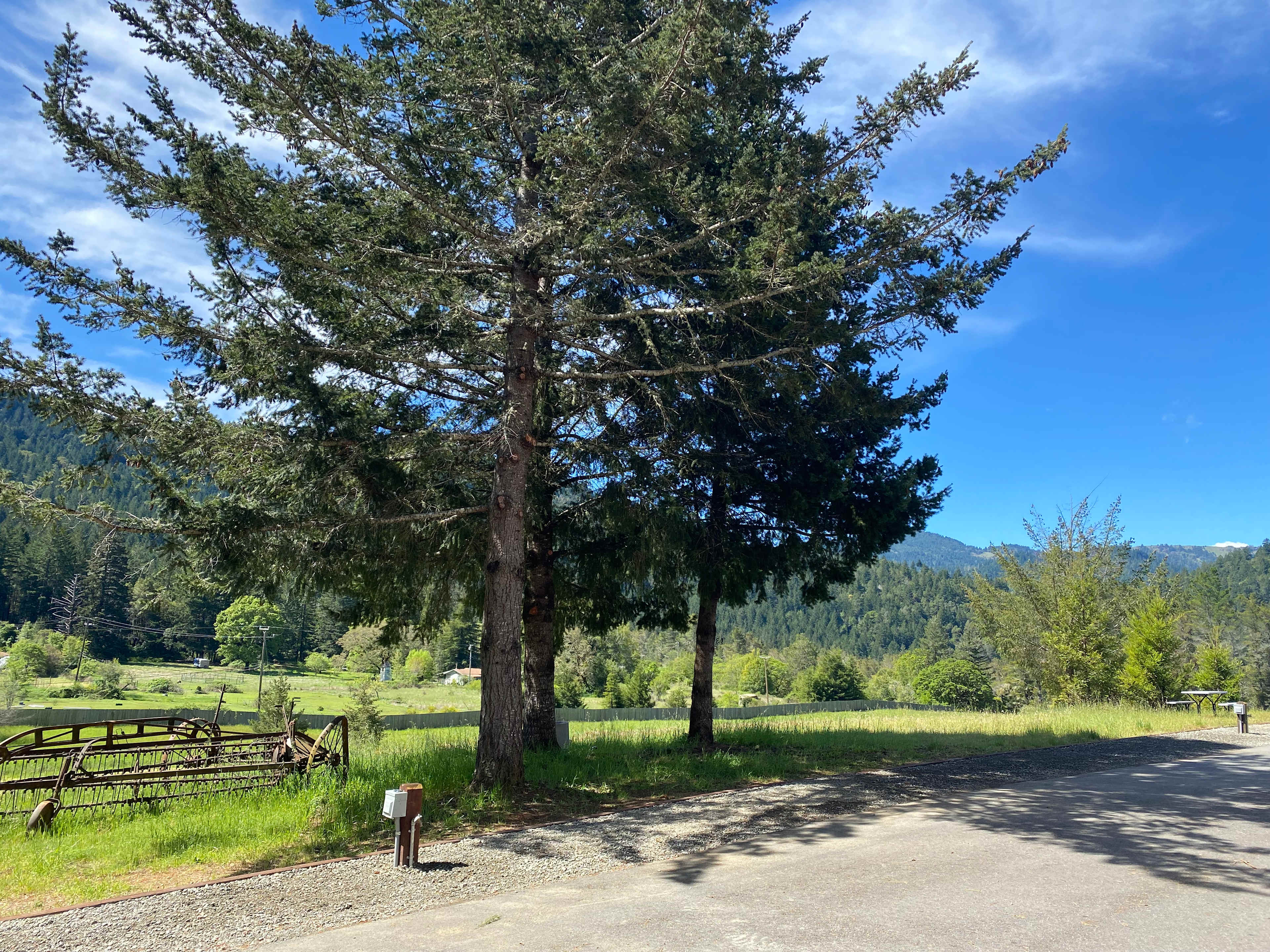 Salmon Creek RV Camping