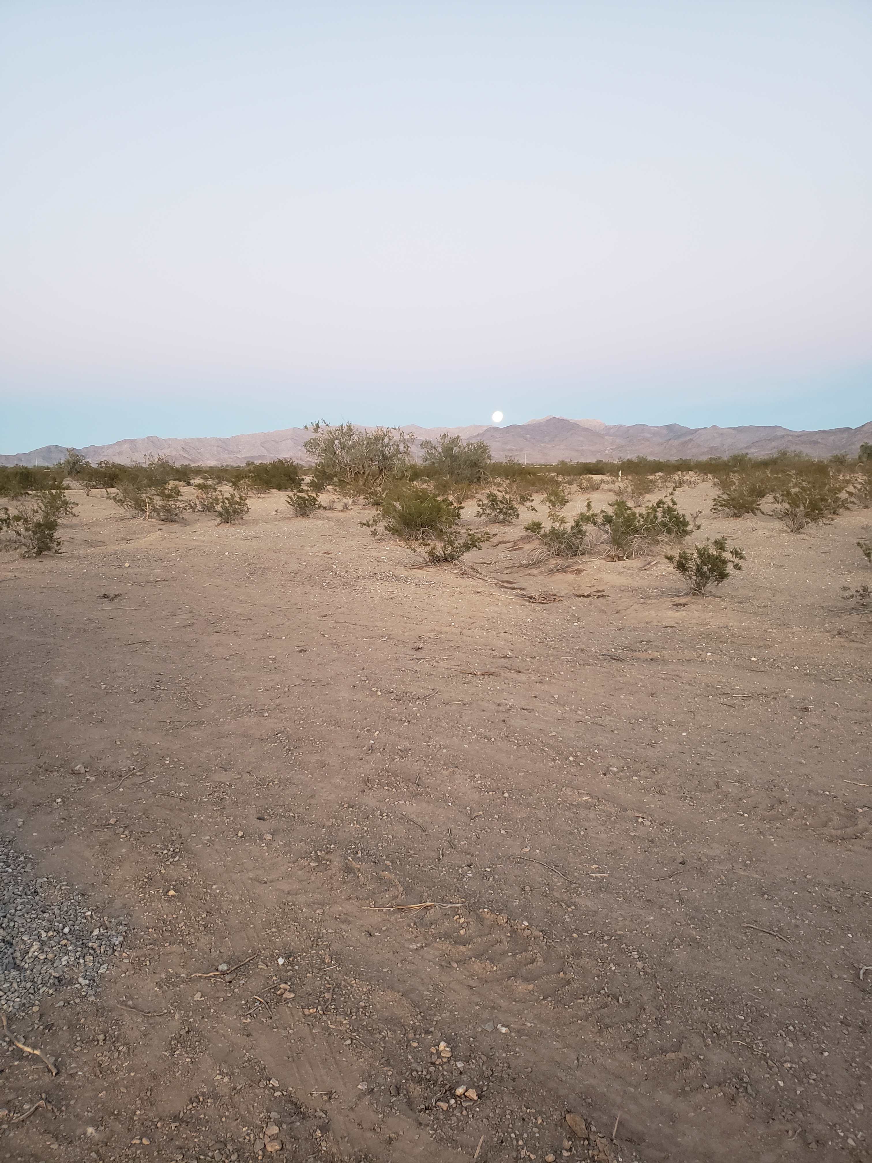 Steve&Dawn's Desert Retreat