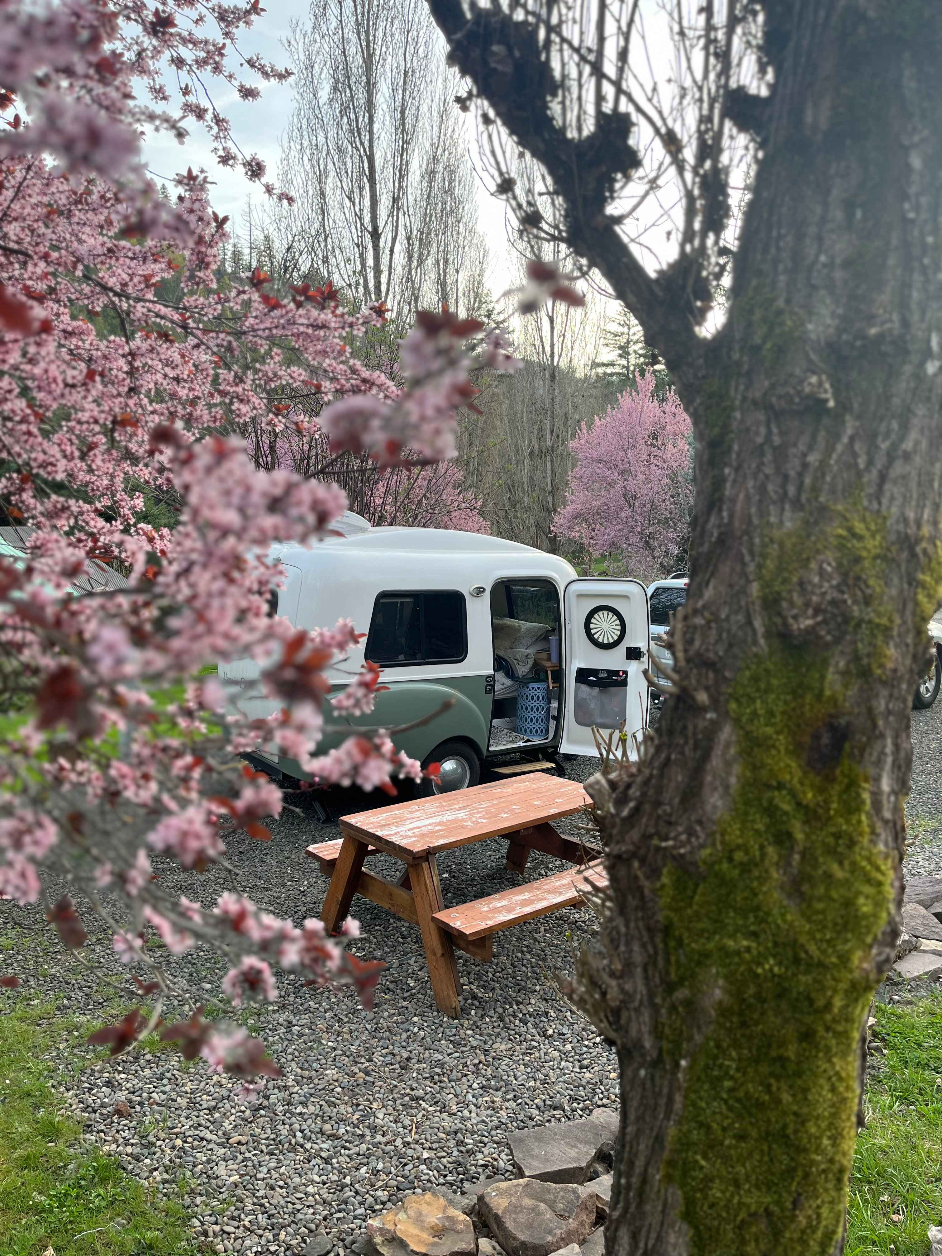 Umpqua's Last Resort