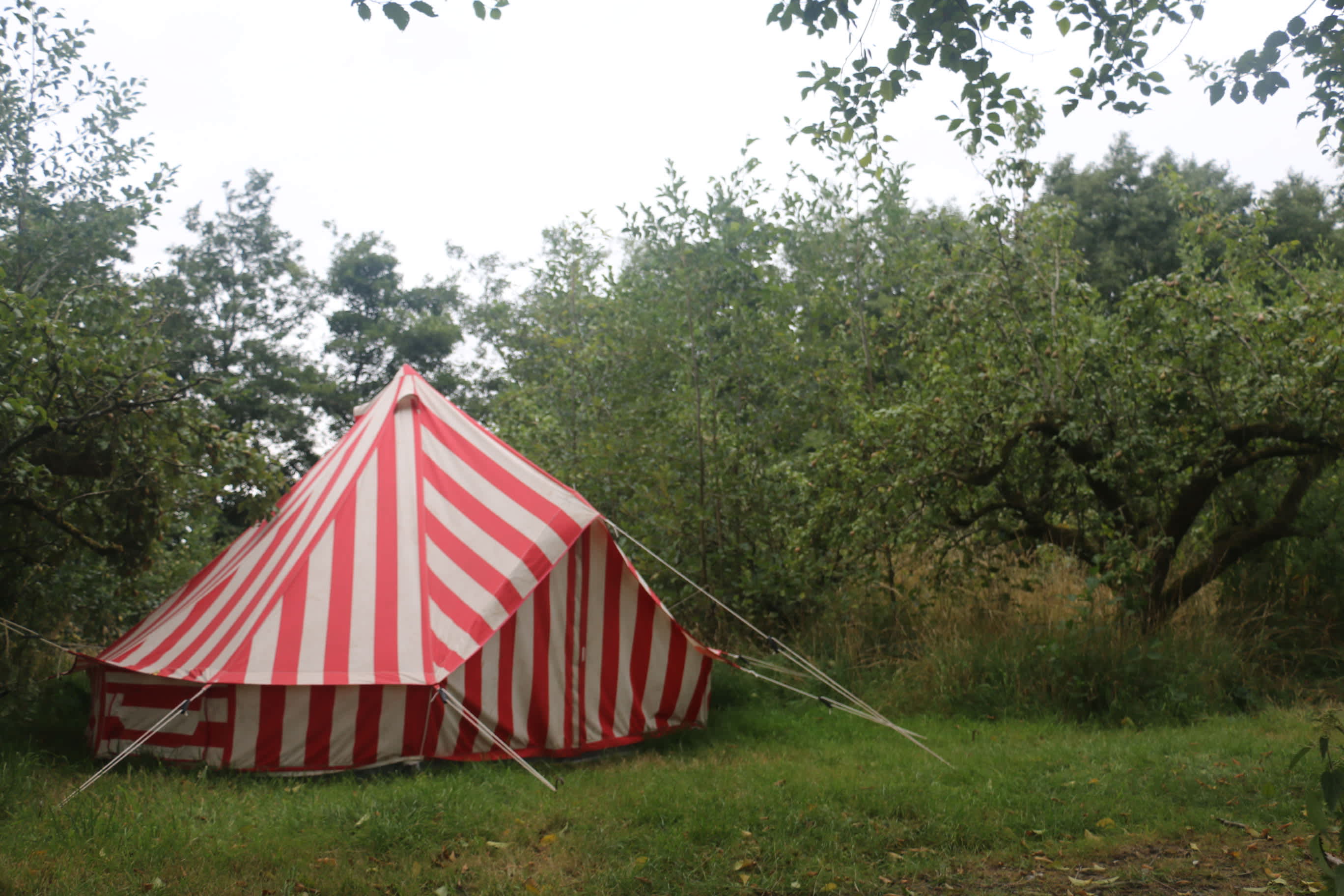 Knotted Roots eco-stay camping