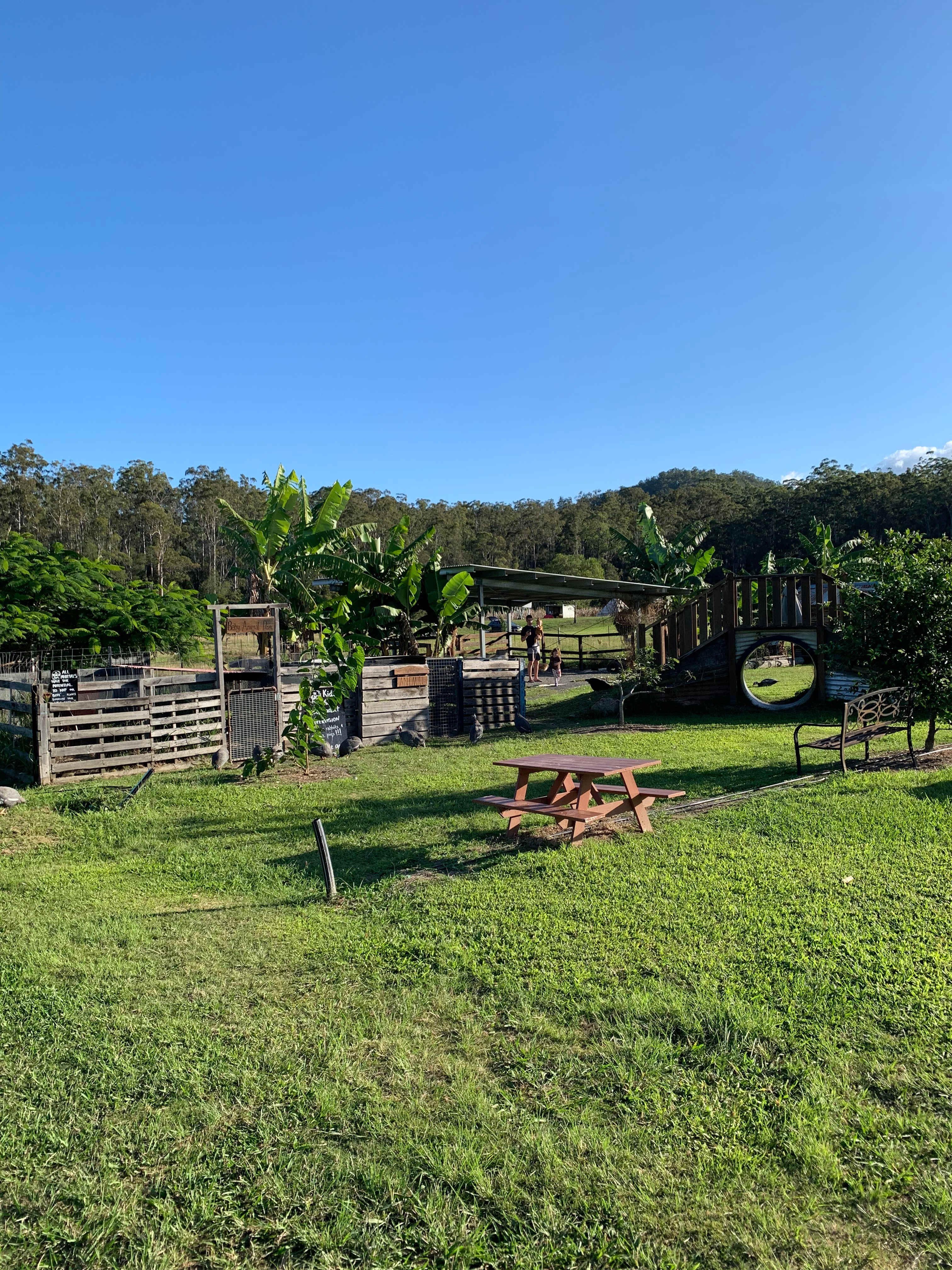 The Peach Farm