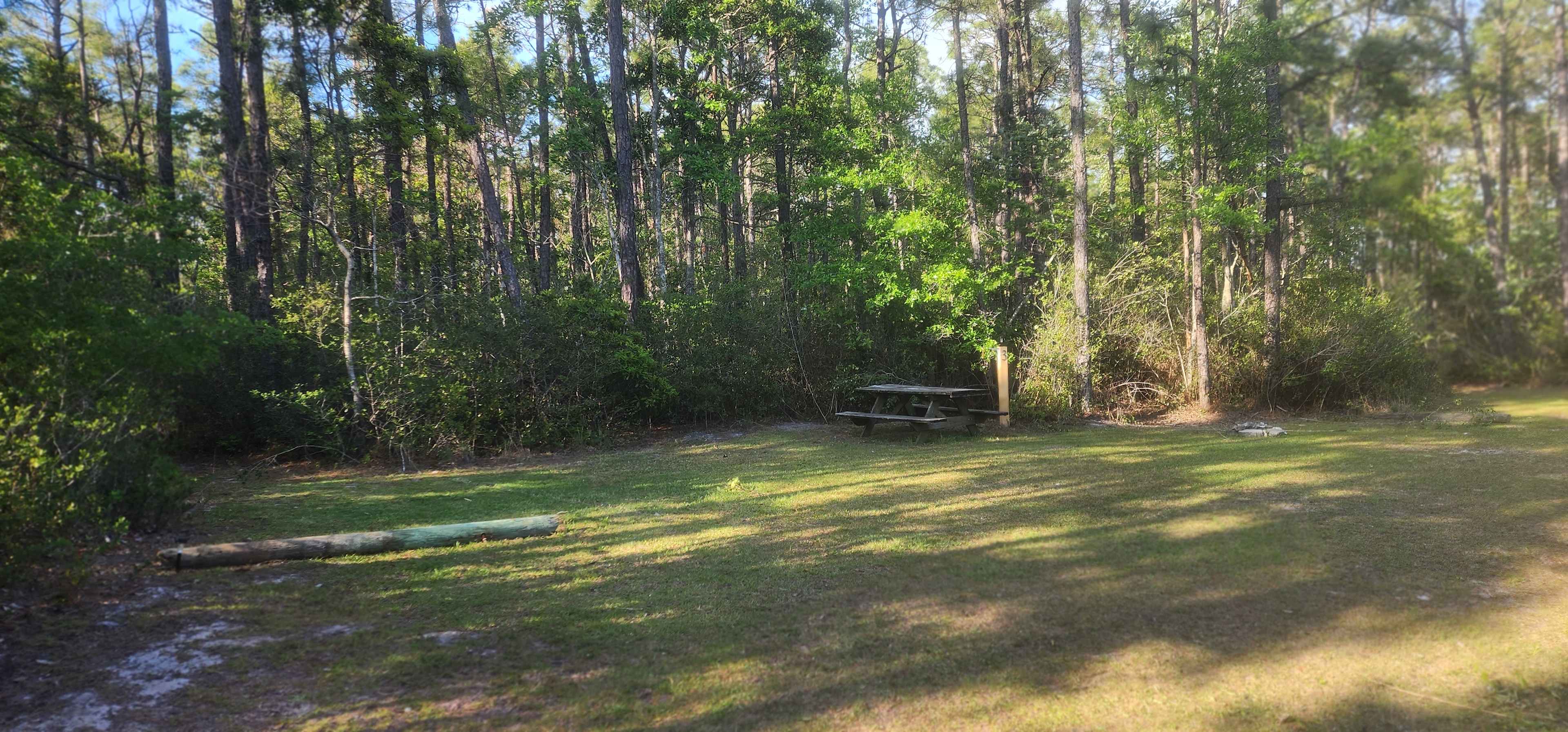 Plenty of space to spread out a big tent