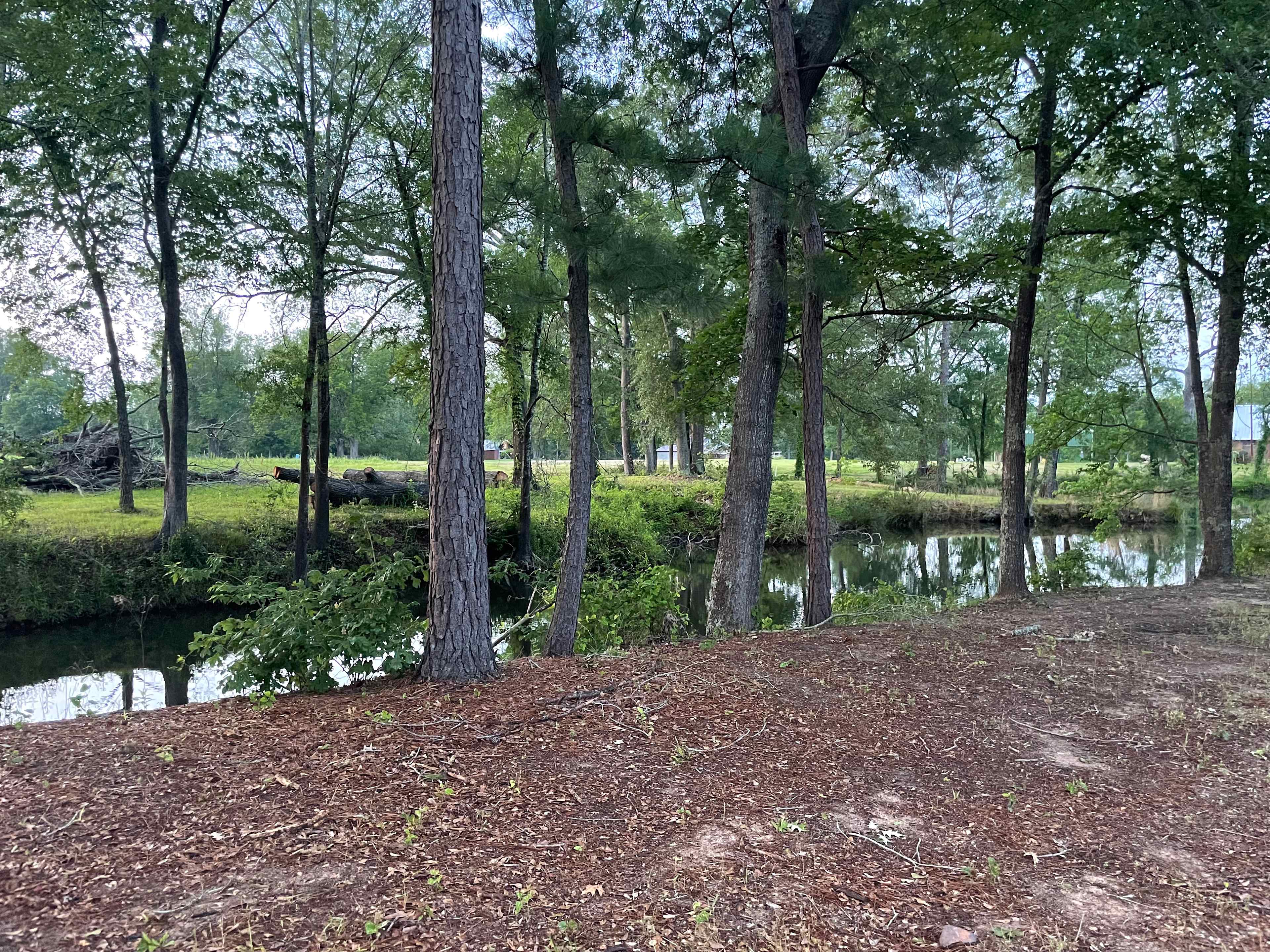 Caddo Springs Farm