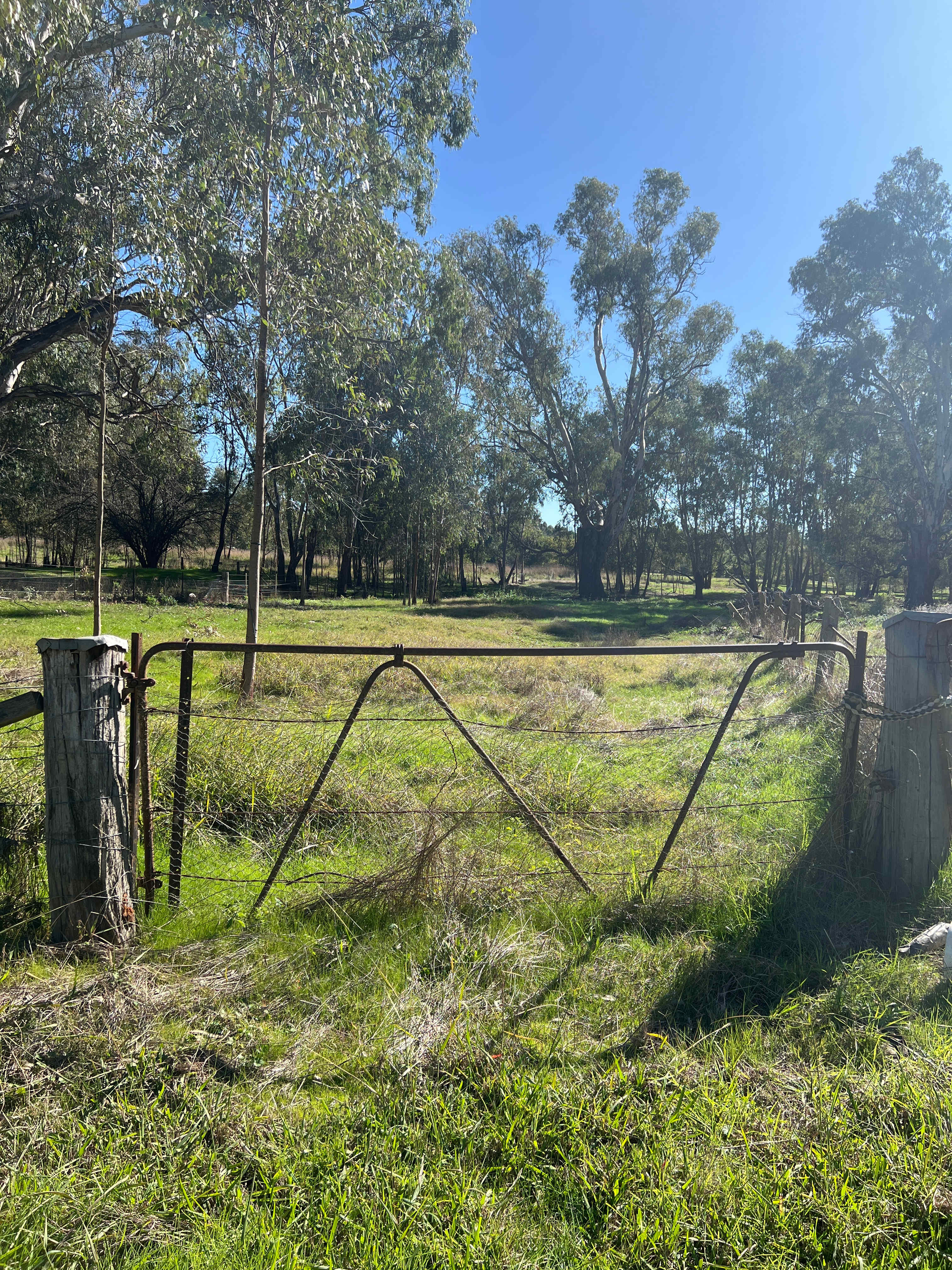River Gum Paddock