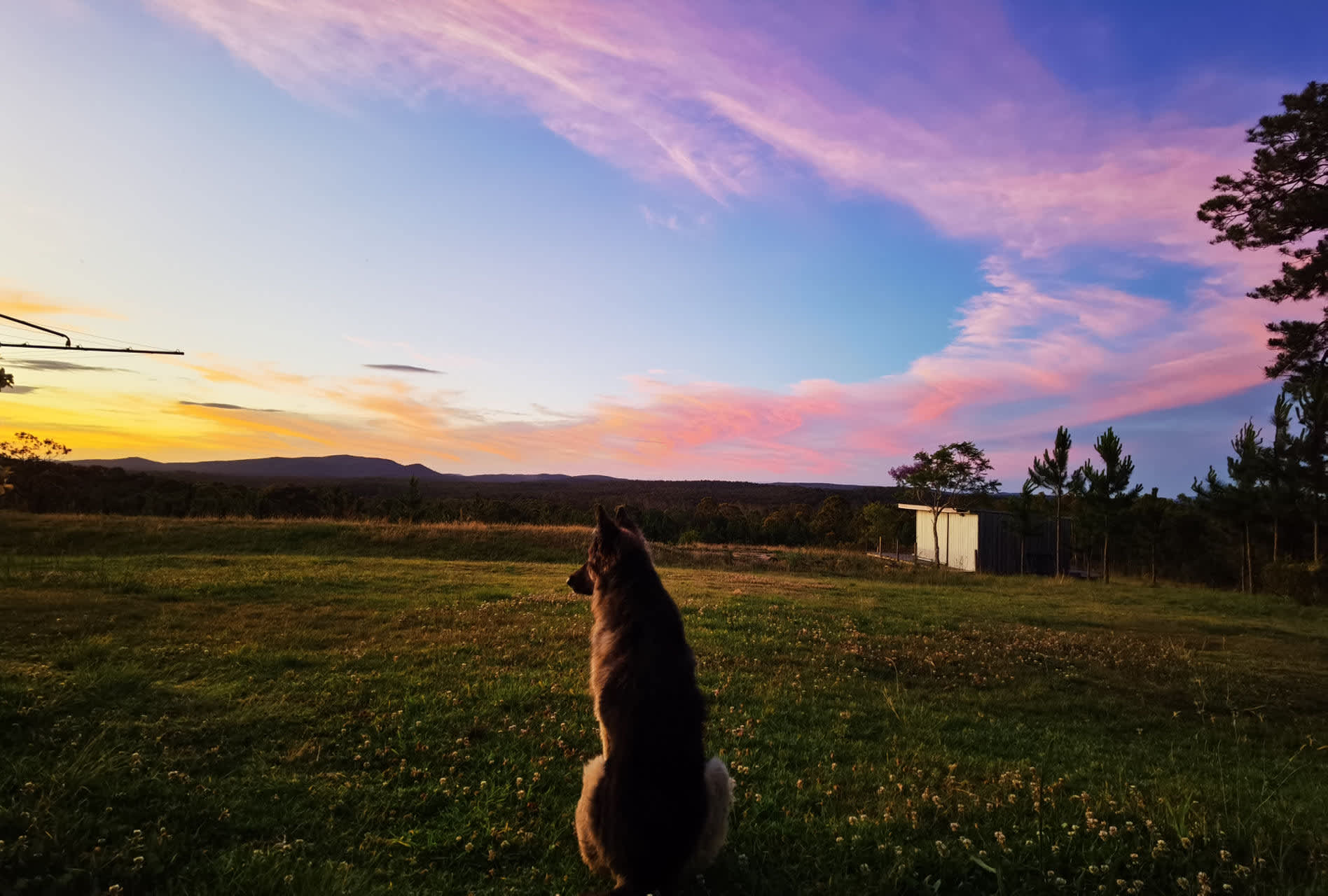 Maya is watching sunset 🌅 in the camp site, every night the sunset is different 
