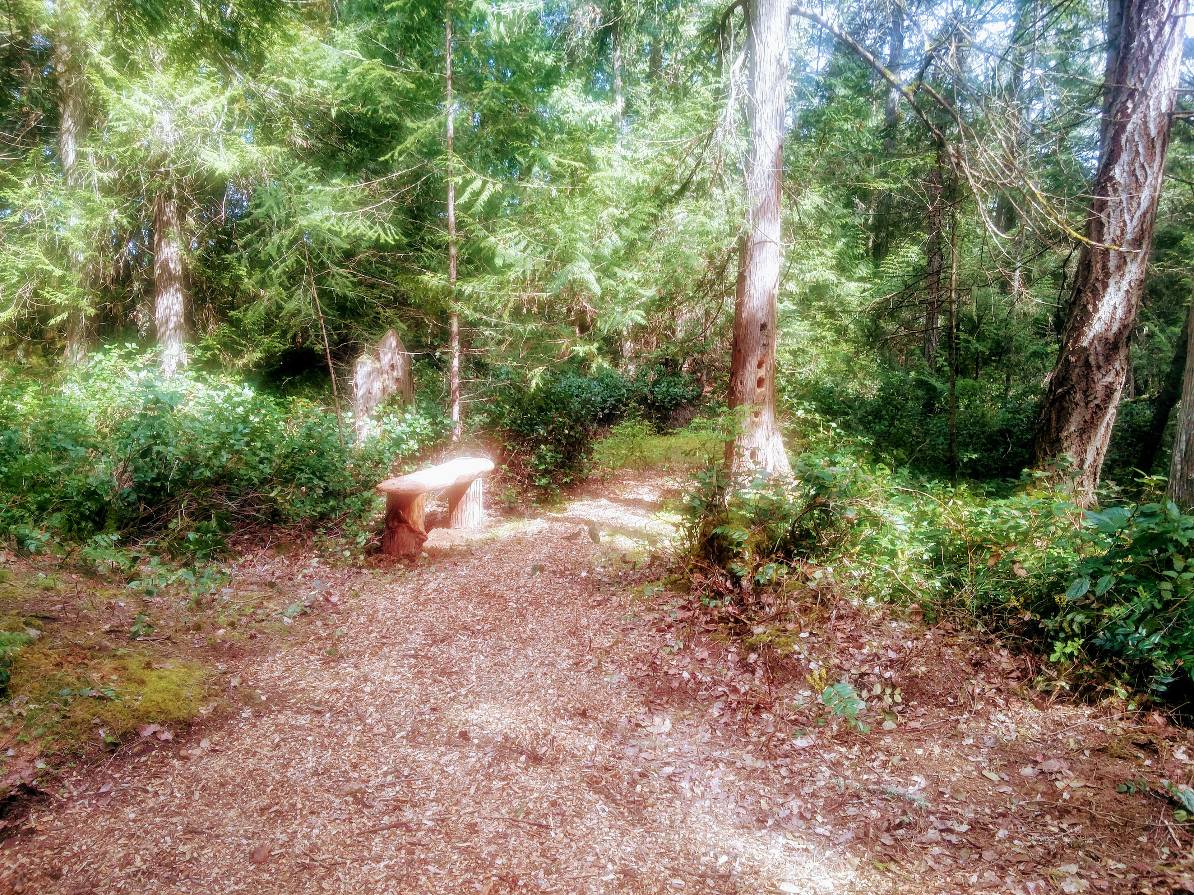 The entrance to Site 2