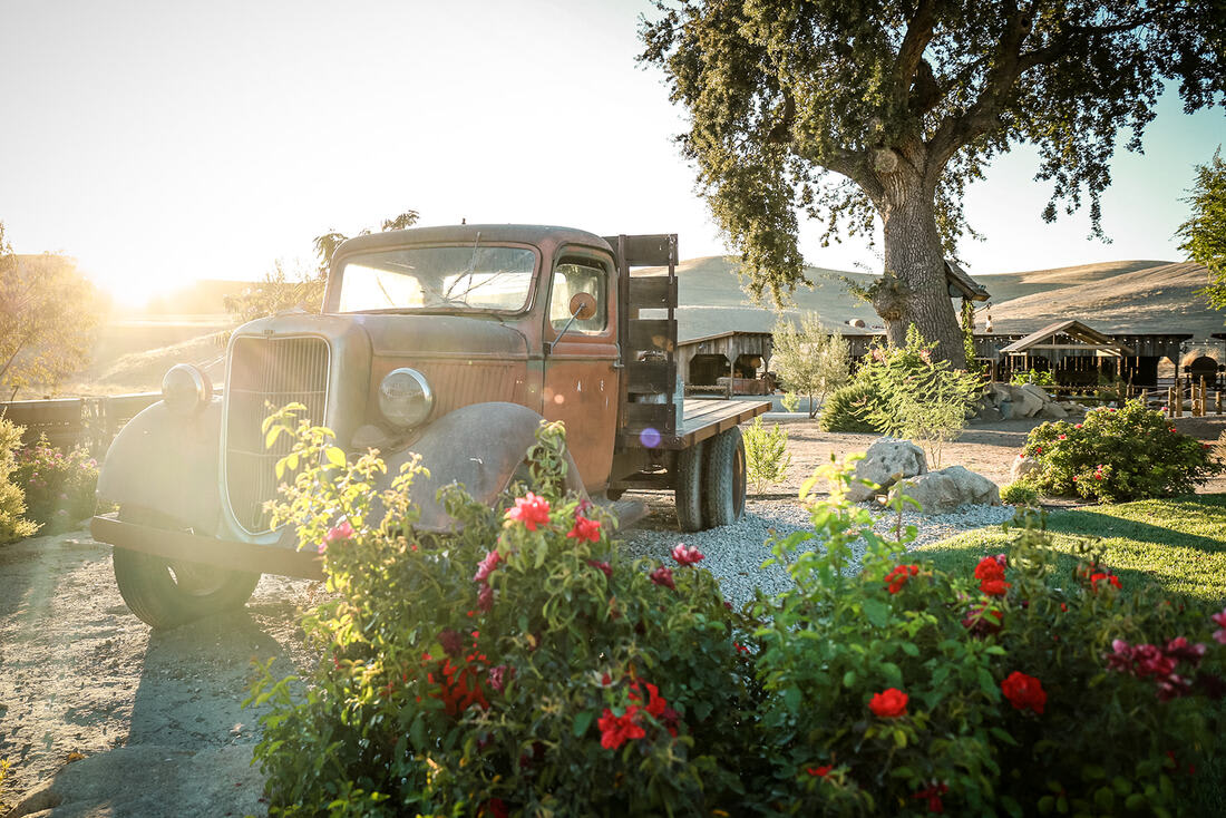 Historical Almond Springs!