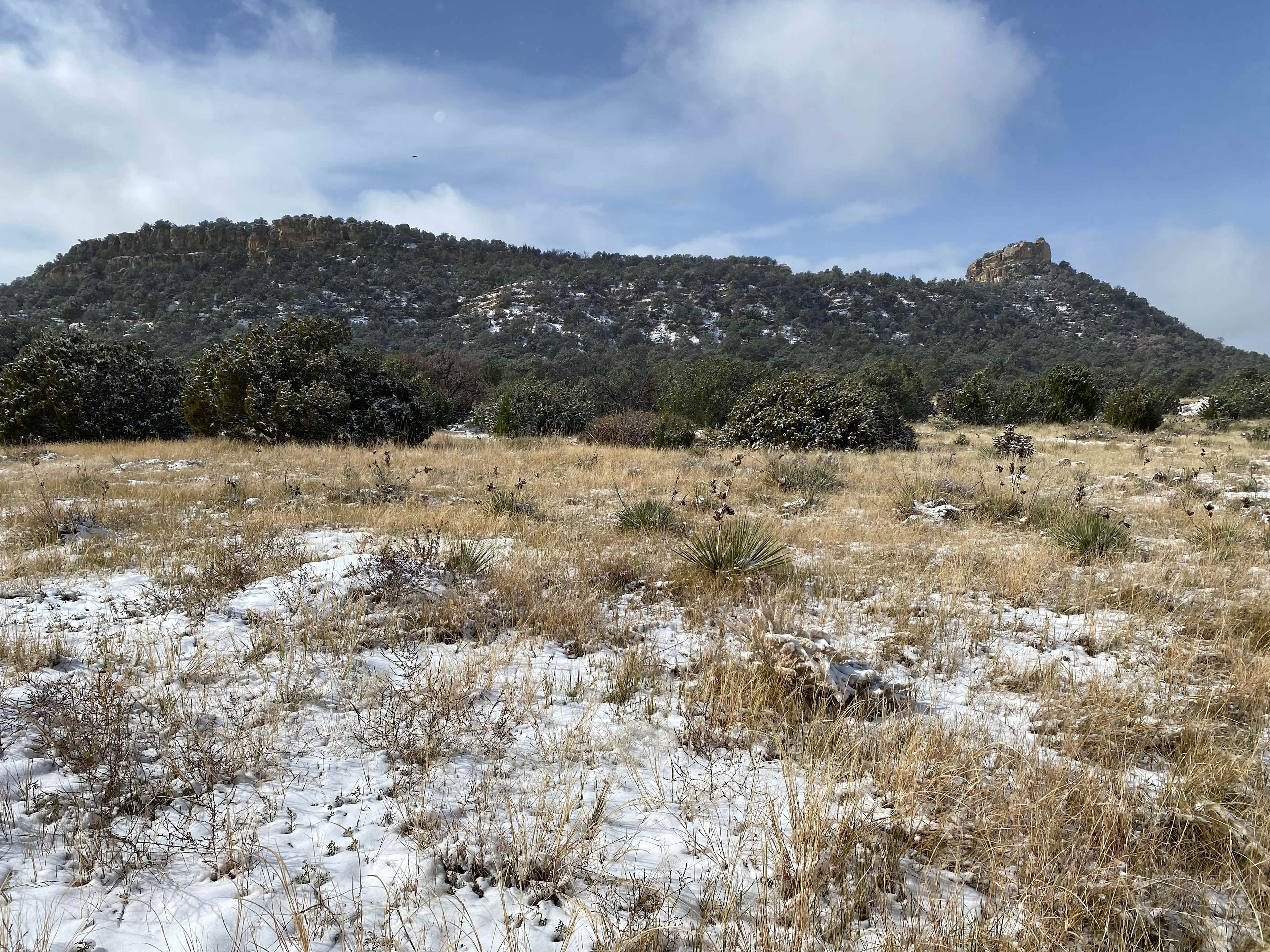 Luke’s Ranch