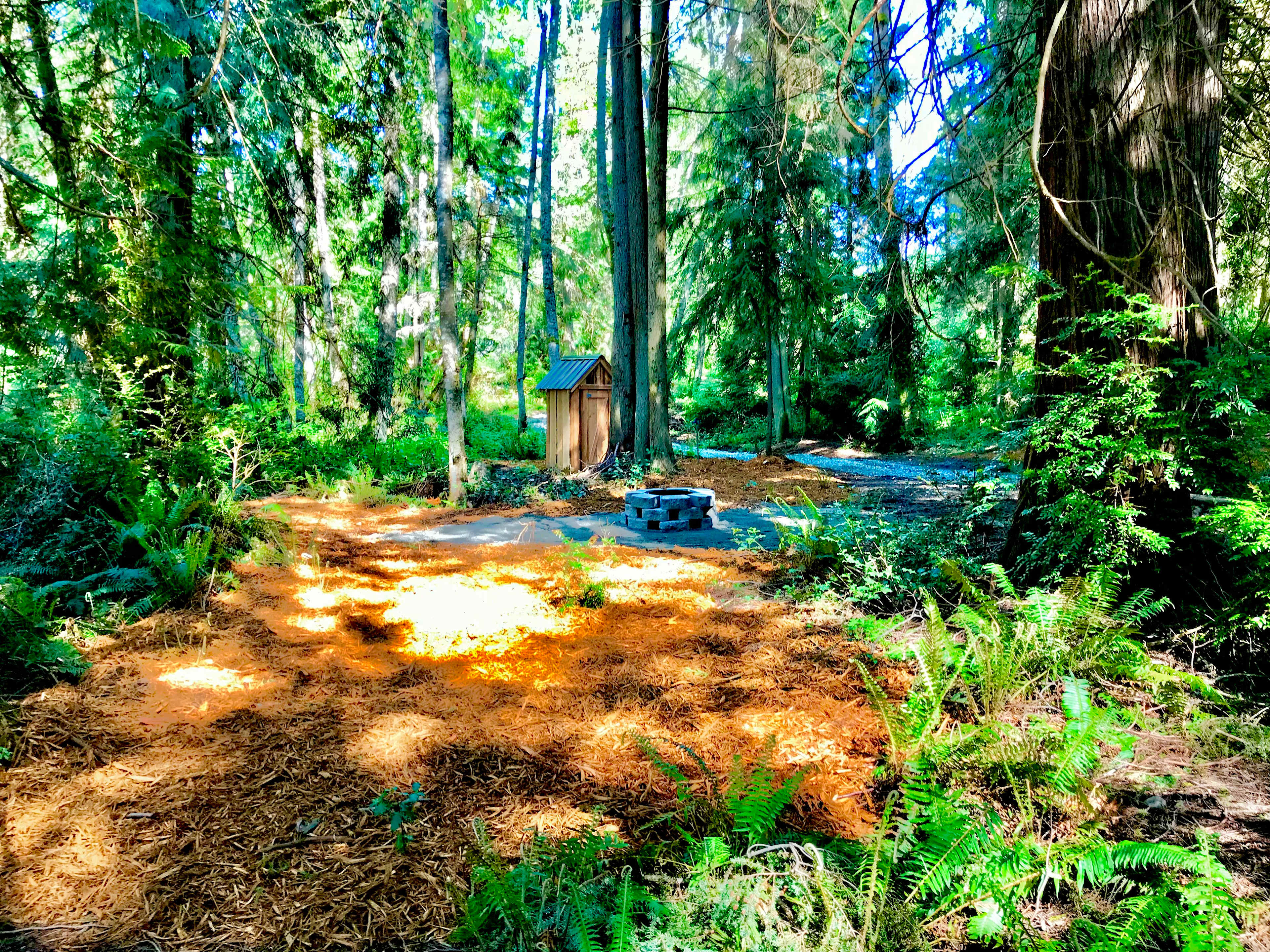 The Last Of The Wonder Woods