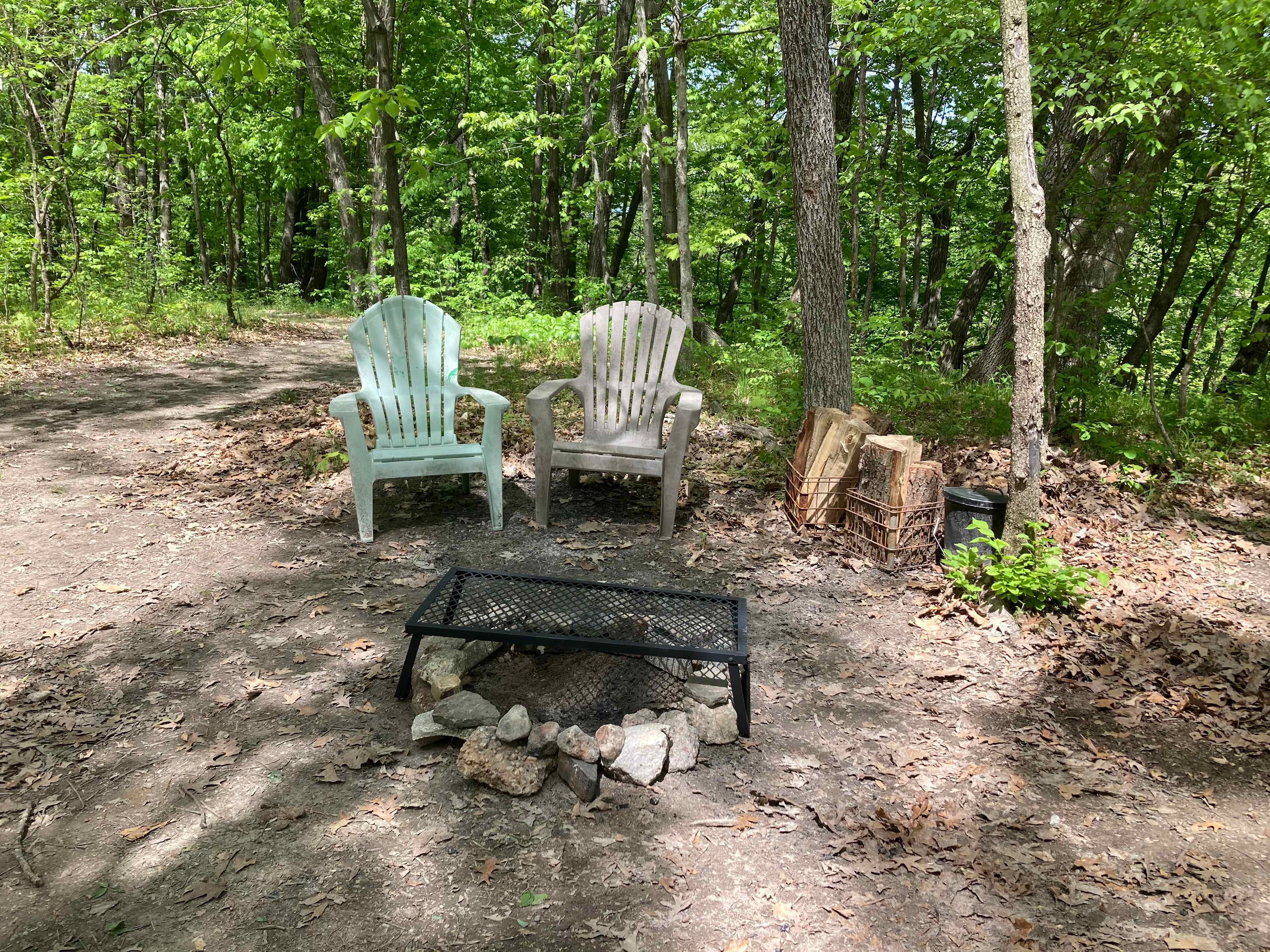 Welcome to our Magical Woods