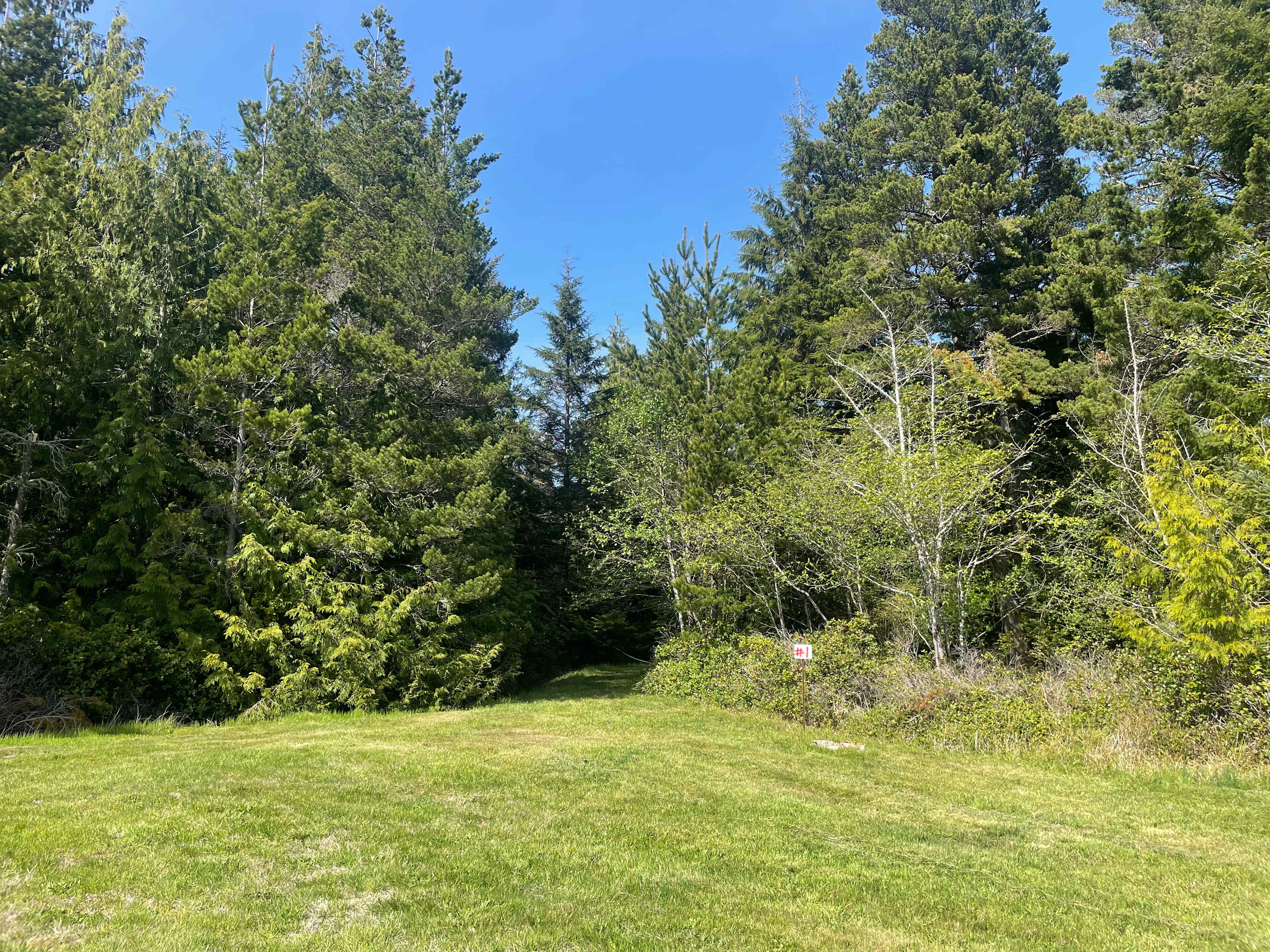 Timber Sands