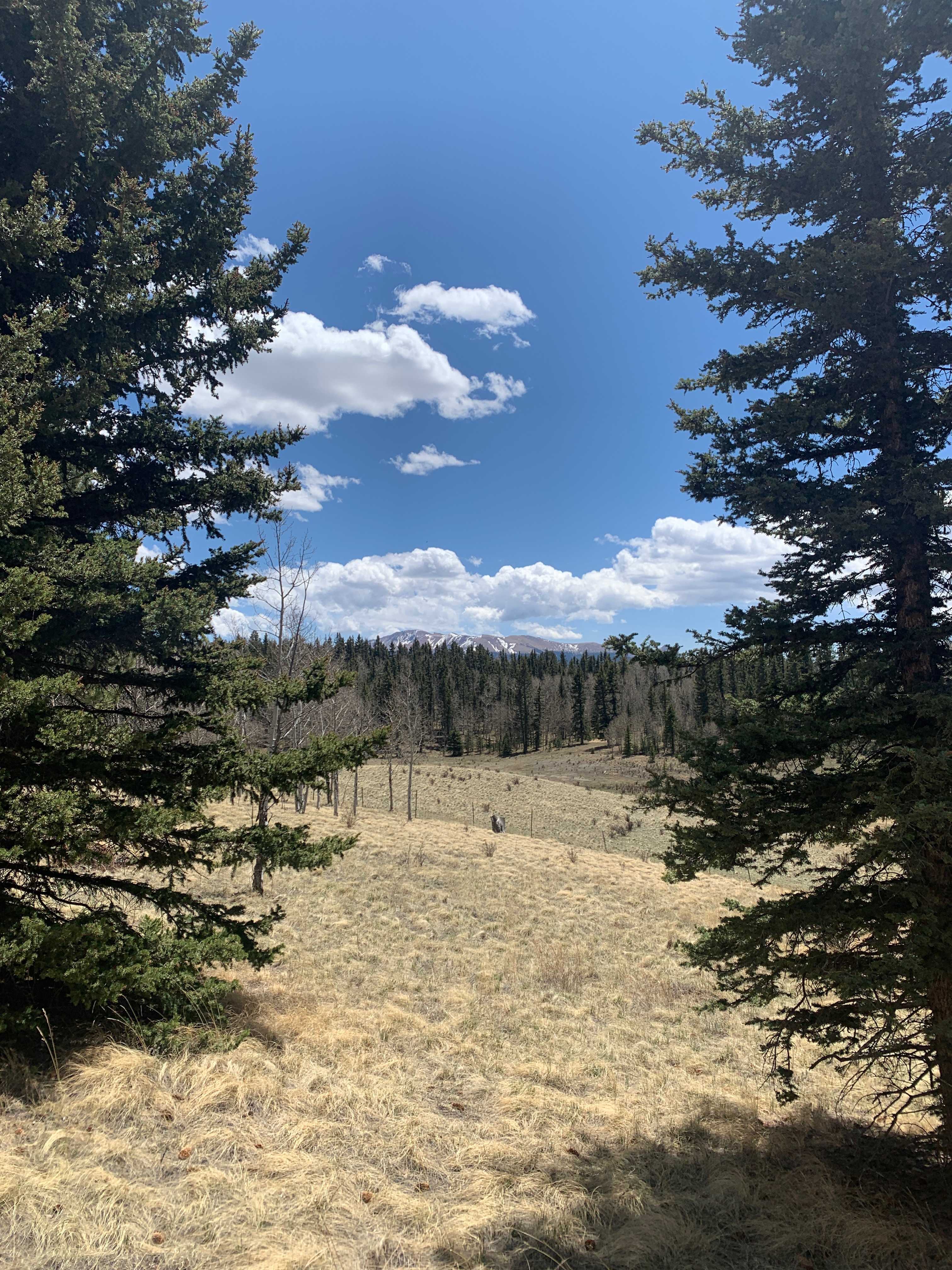 Aspen Valley Campground