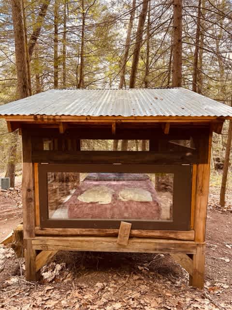 Forest Hut in Western Mass