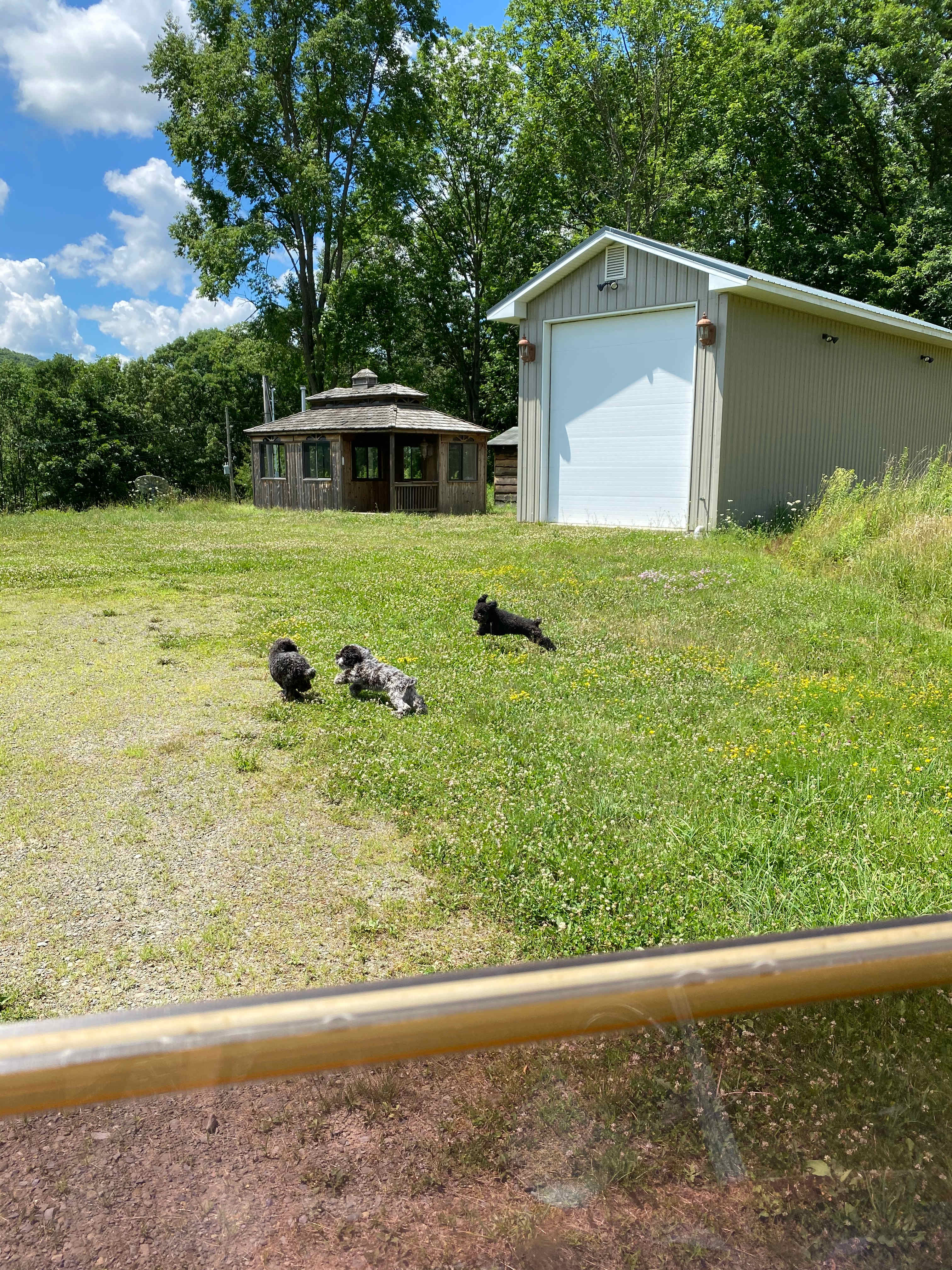 SnowMarsh Farm