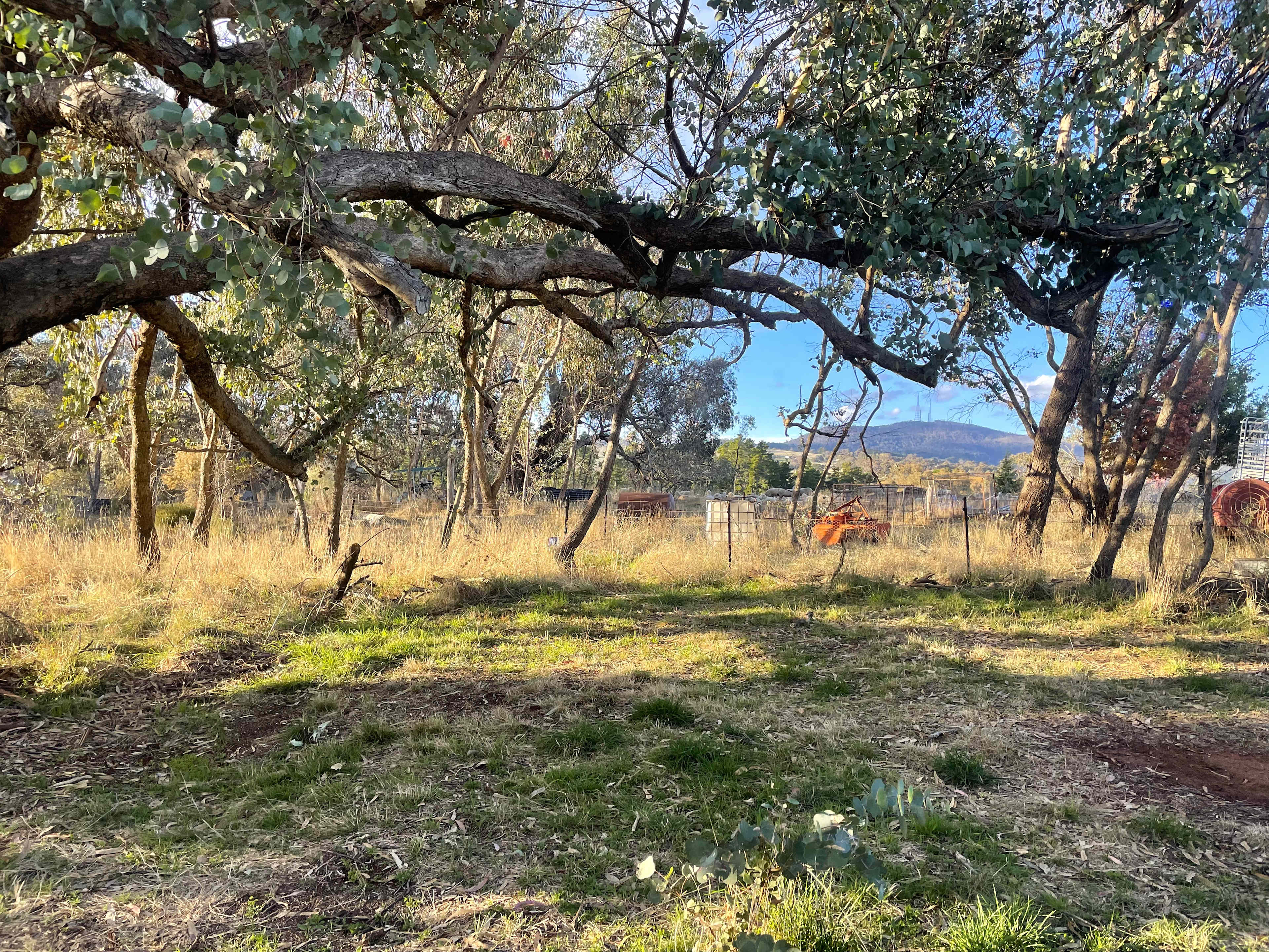 Cargo Road Wines