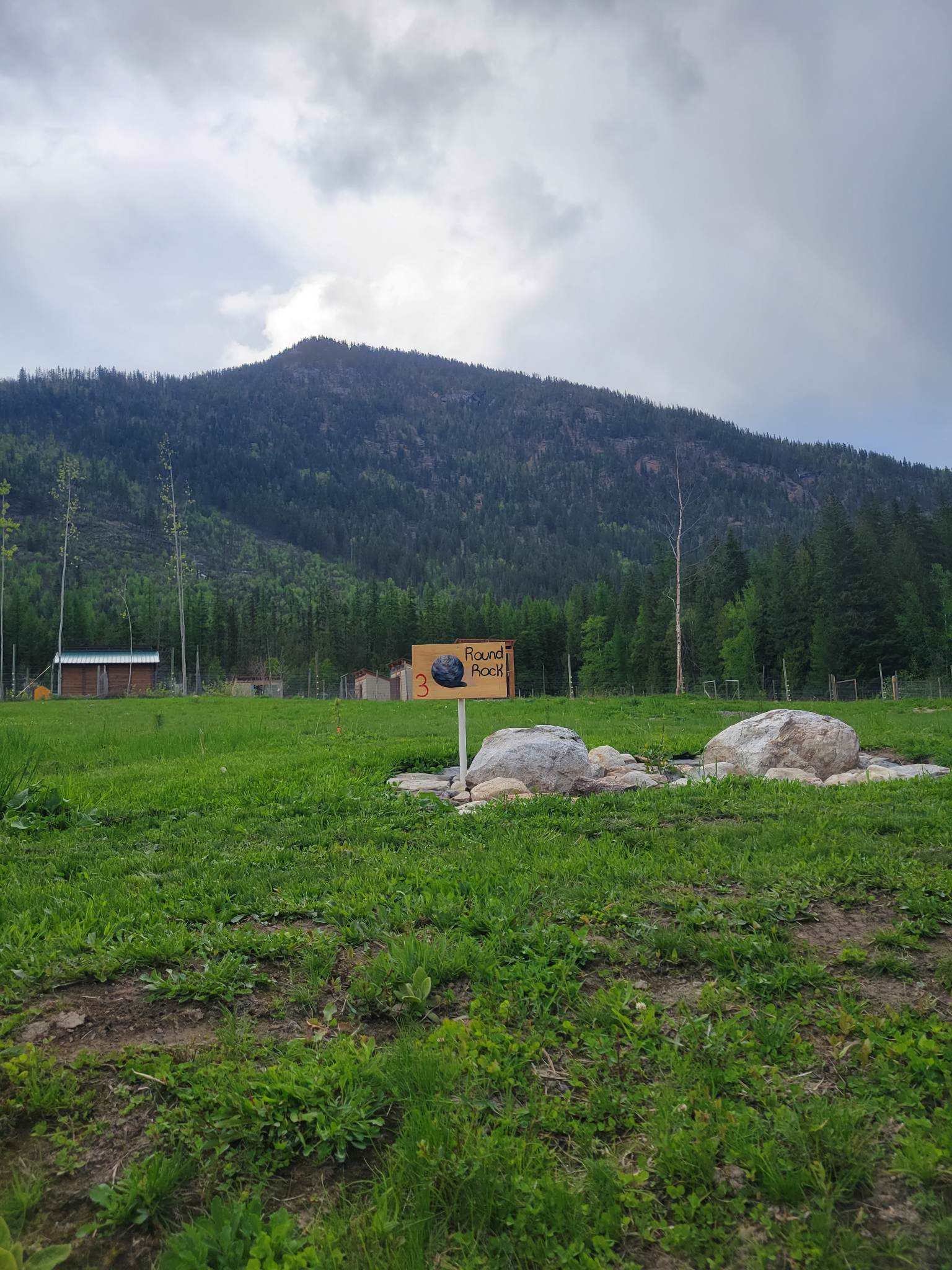 Kootenay born camping by Arrow lake