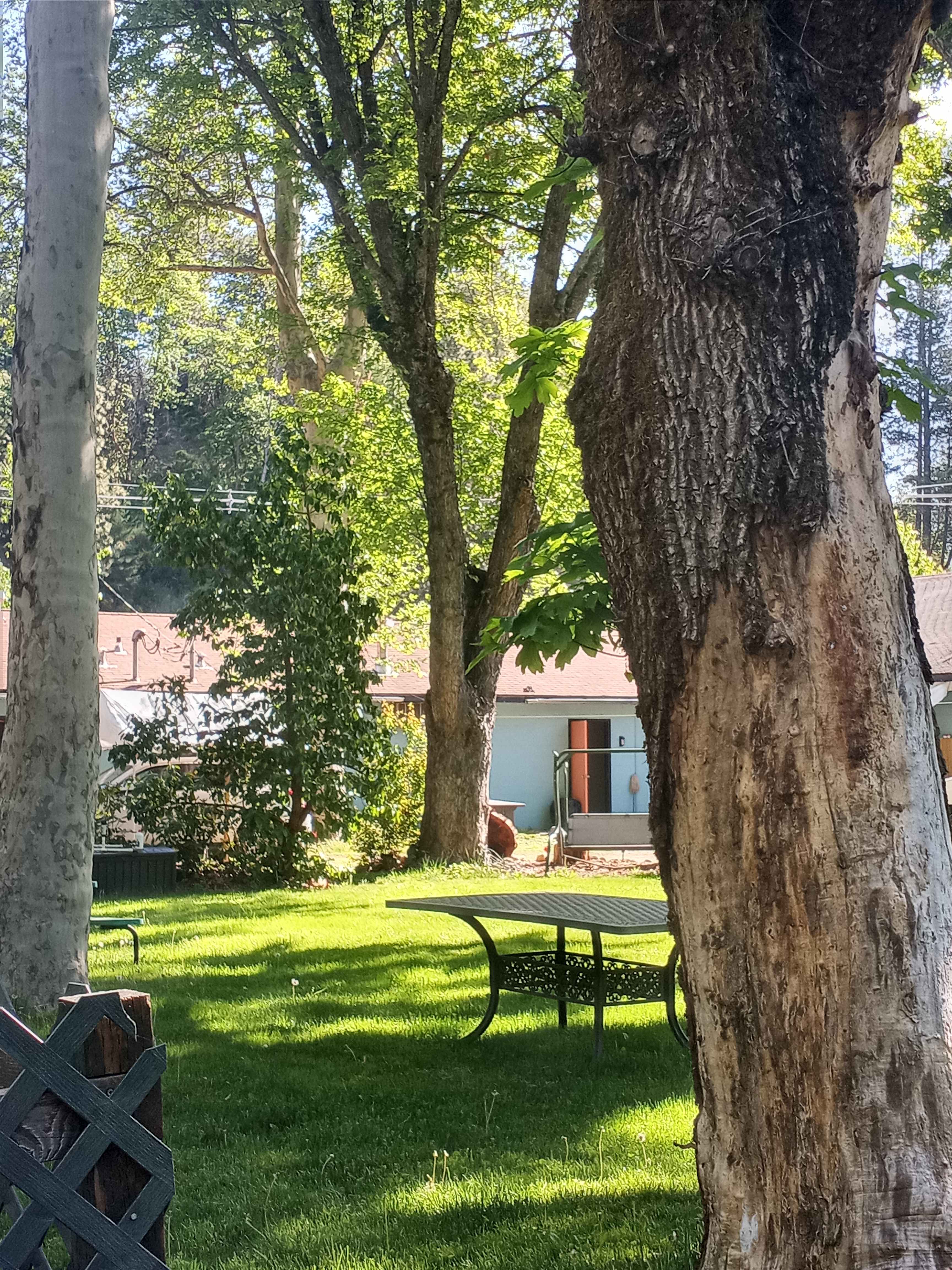 Garden Area