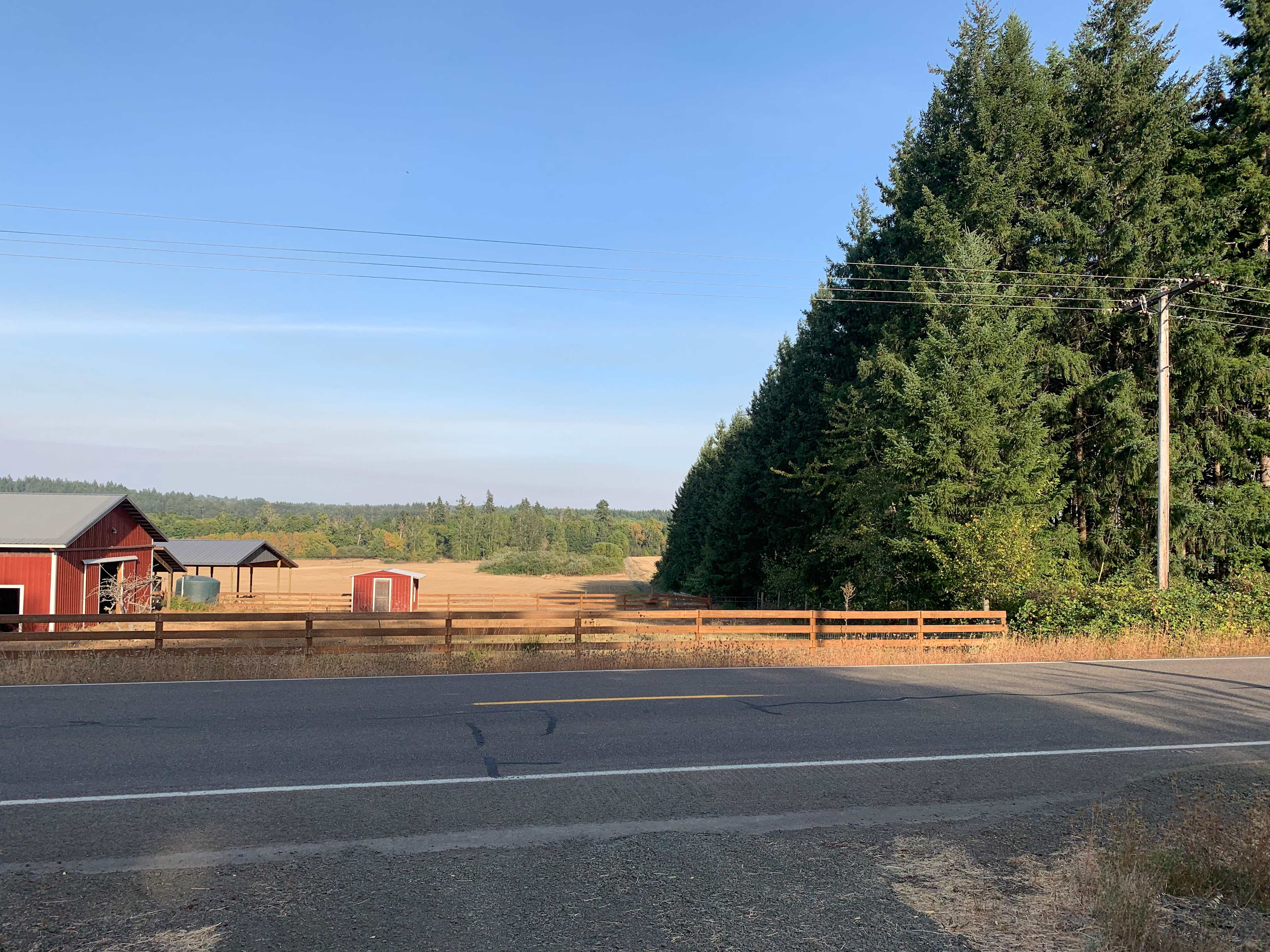 Standing at the gate entrance looking North. Airlie winery is just down the road