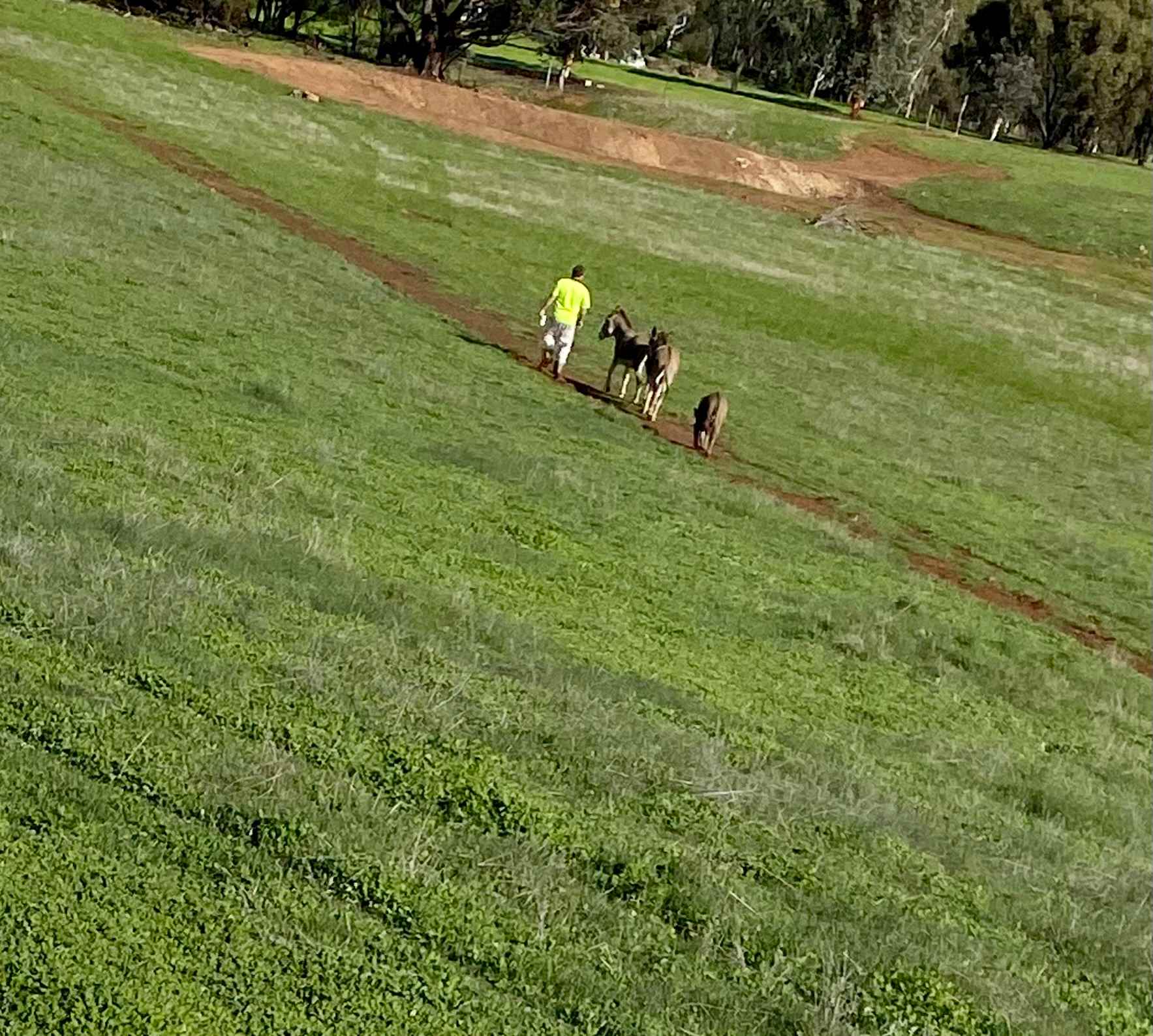 Sandalwood Downs  Farm Stay Toodyay