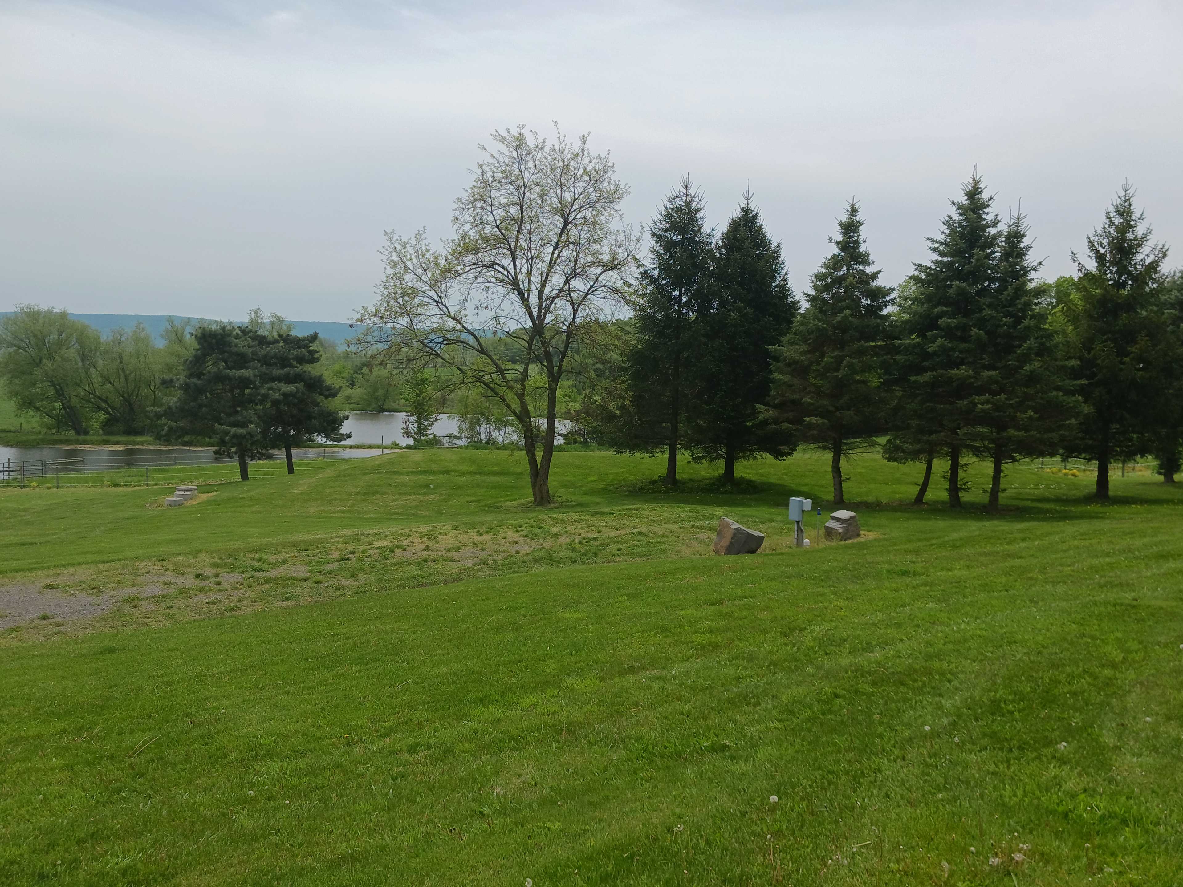 Goose Pond View