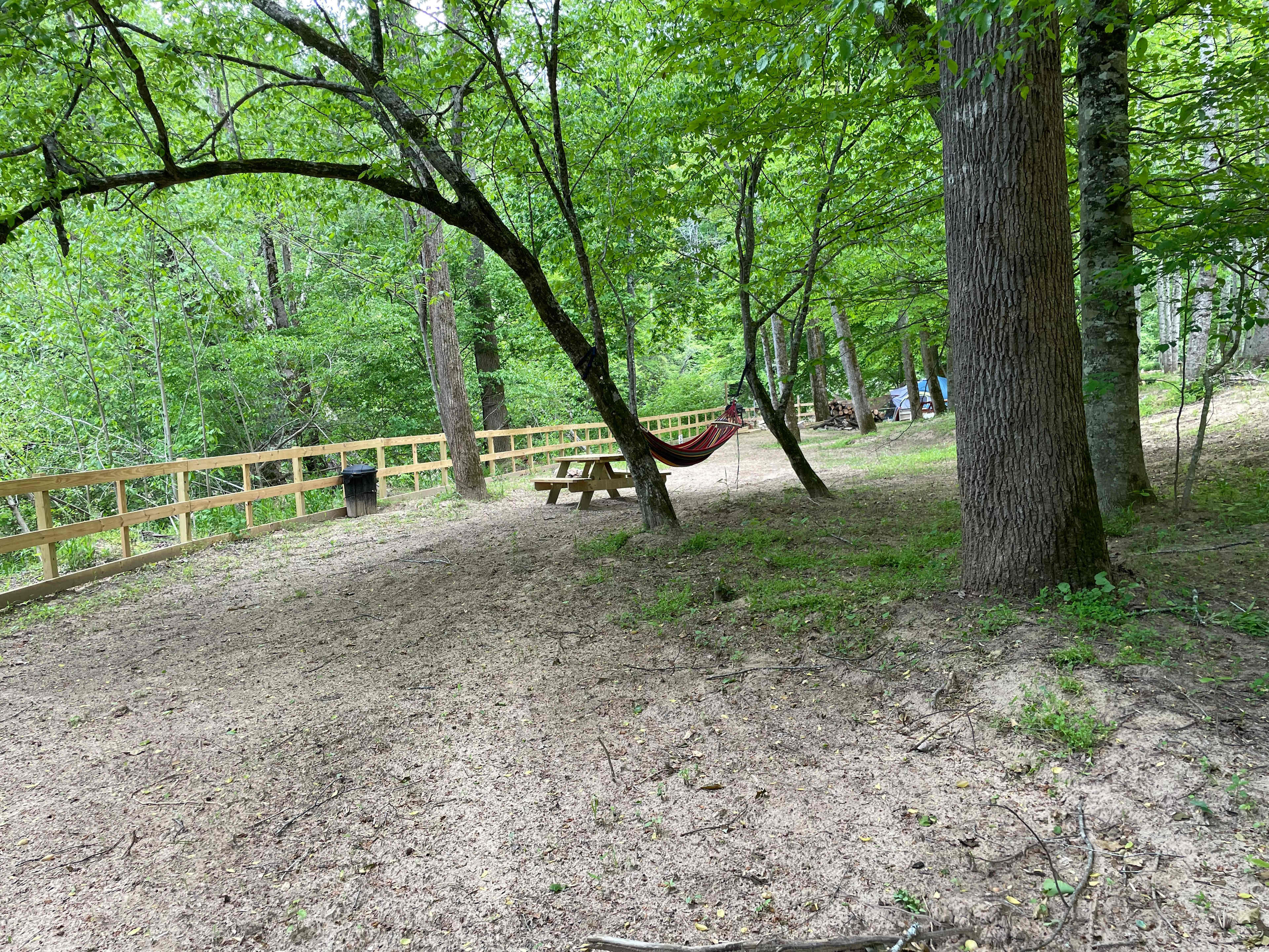 Campsite #2 hammock and picnic table