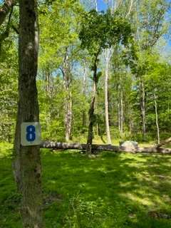 Tent camping along the Yough river.