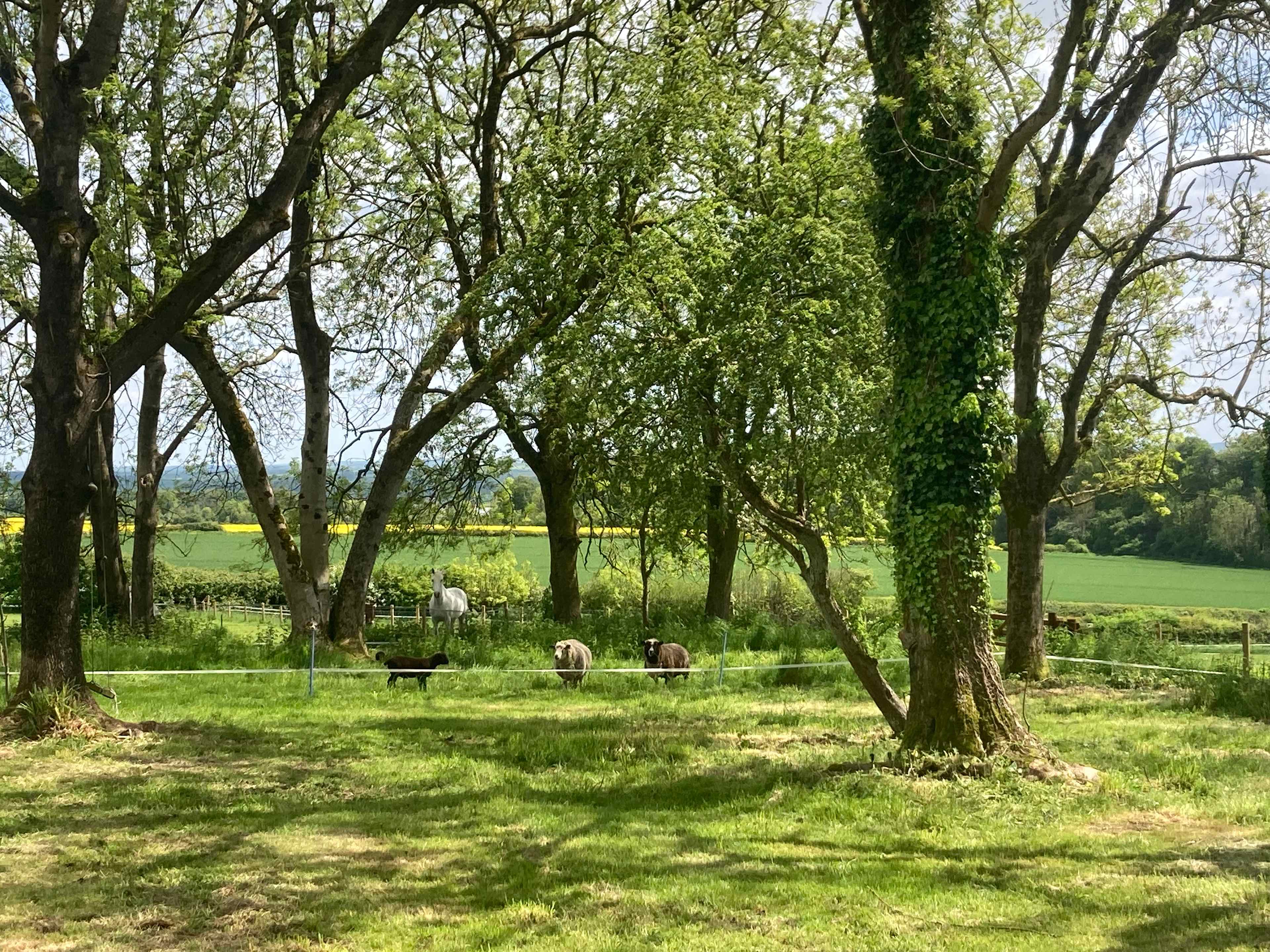 Charisworth Farm