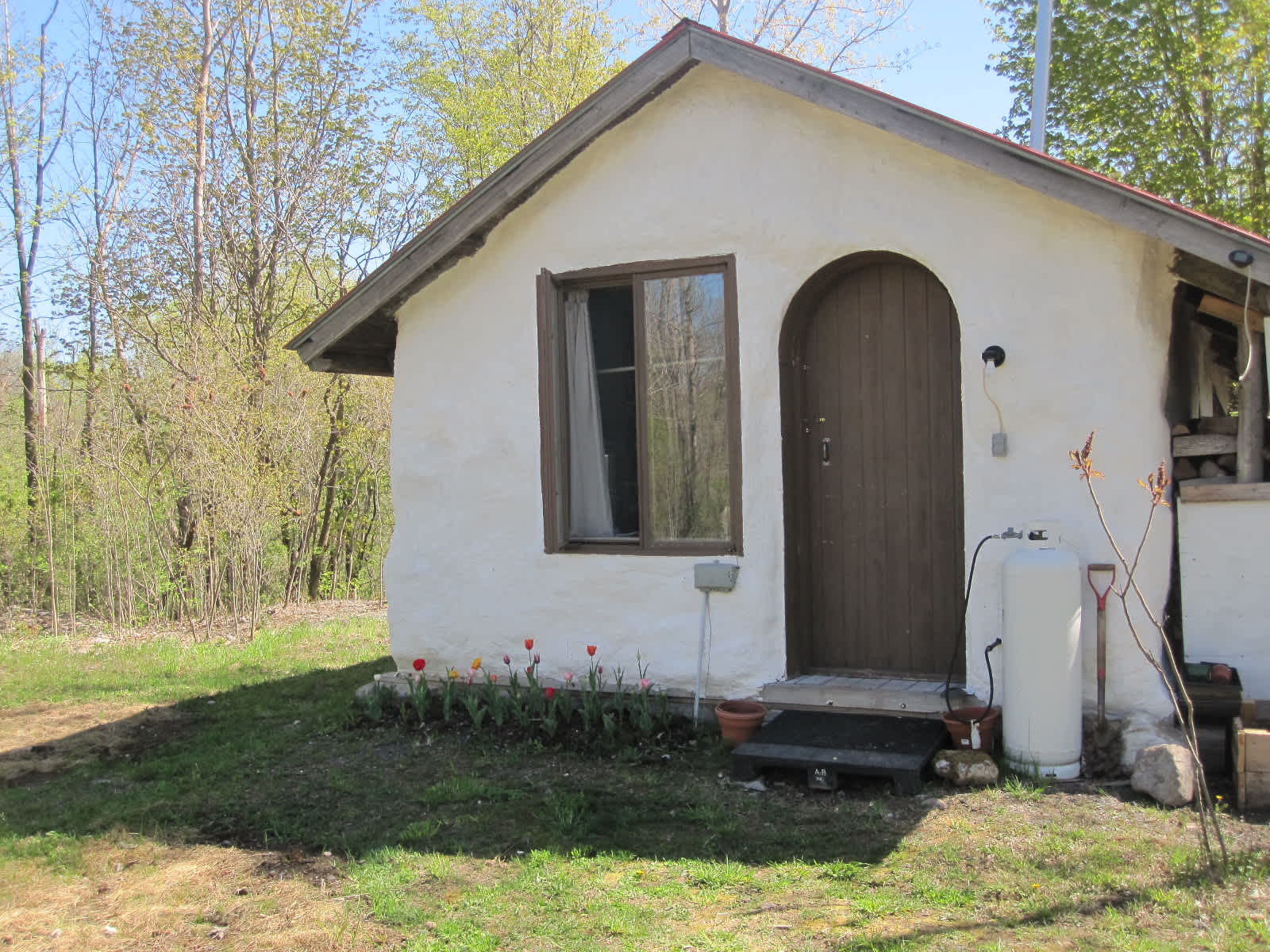 front of cottage in Spring with tulips