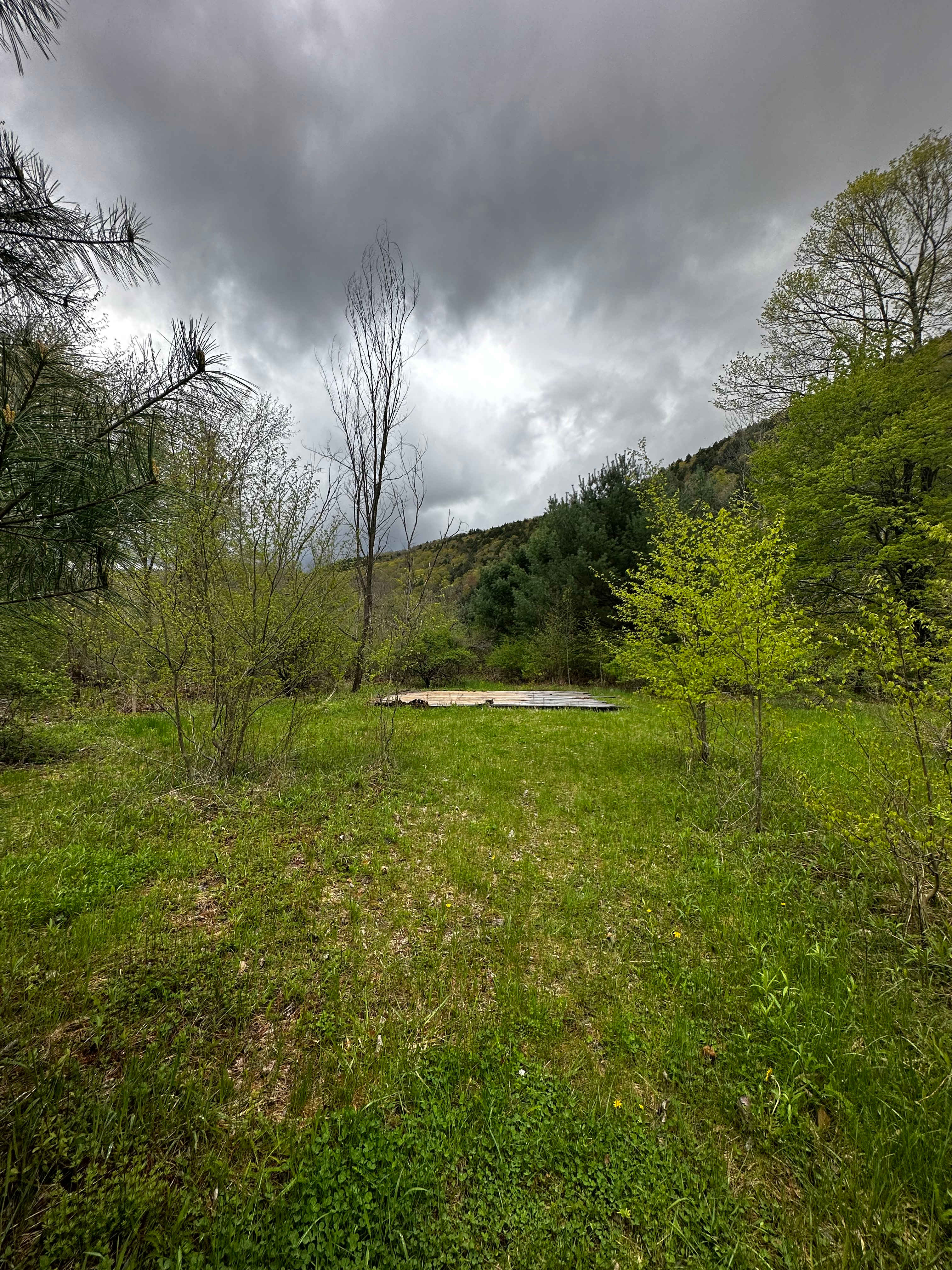 Mountain Rise Farm and Campground