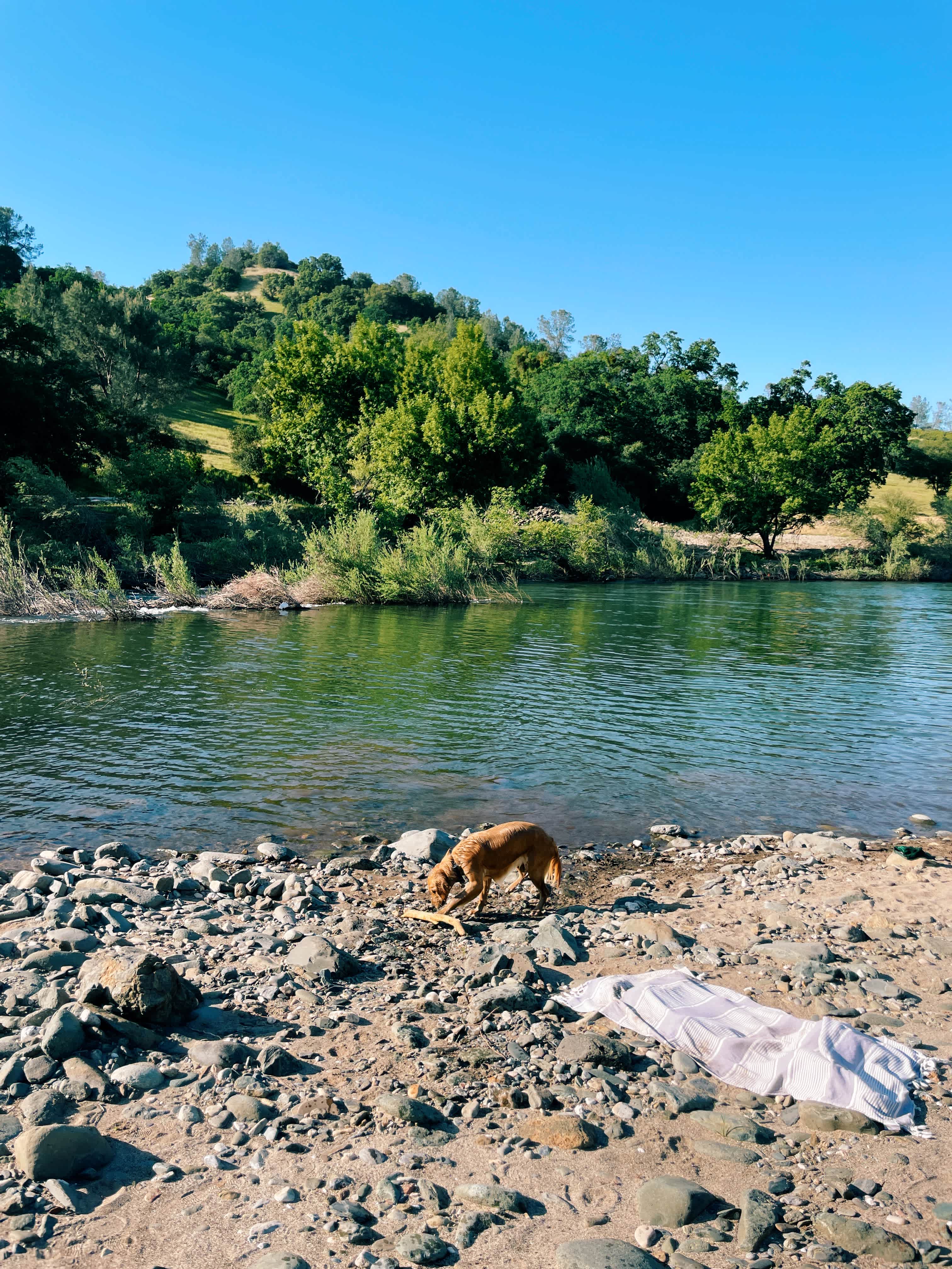 Cosumnes River Ranch