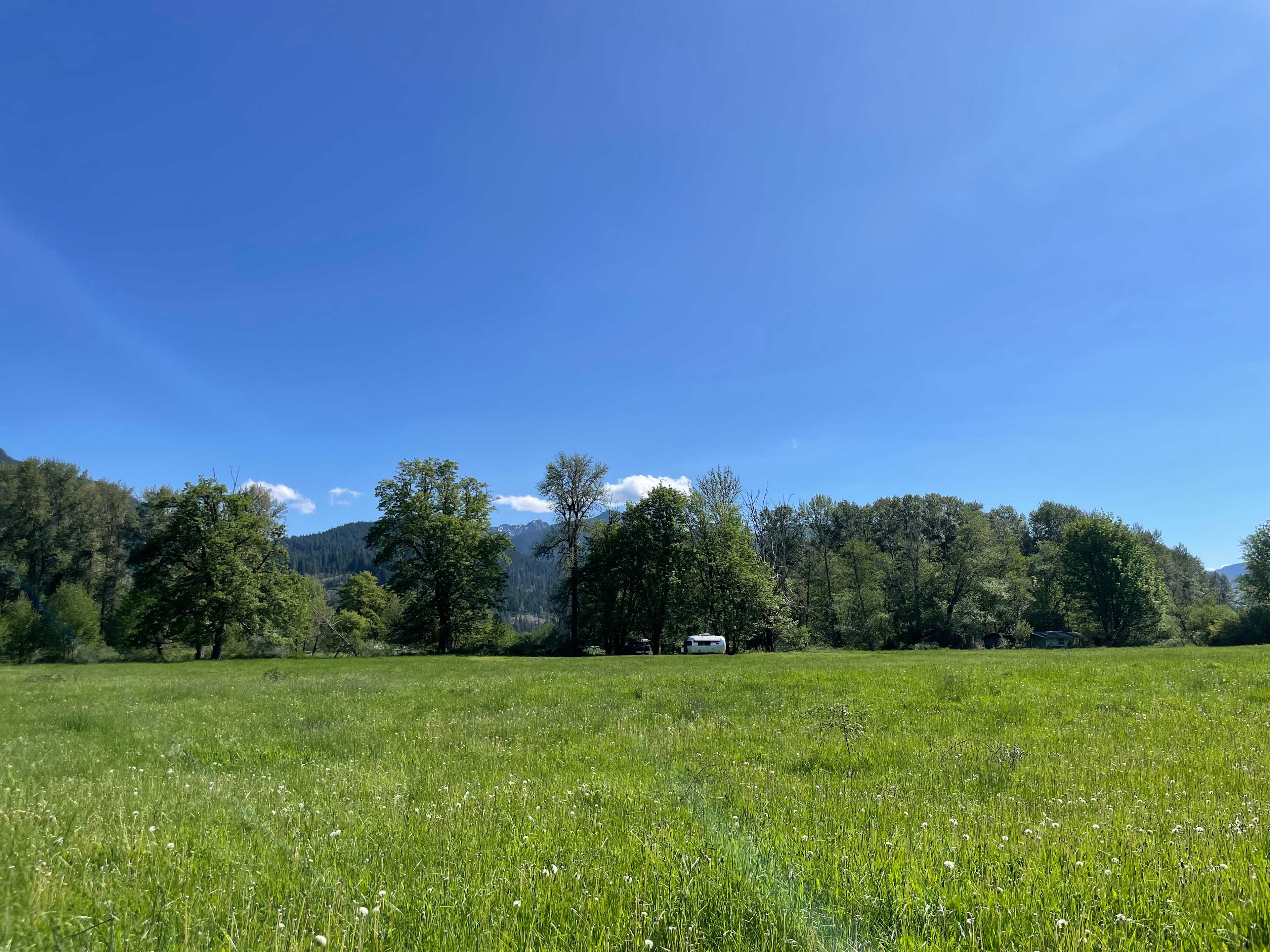 Cowlitz River Rentals
