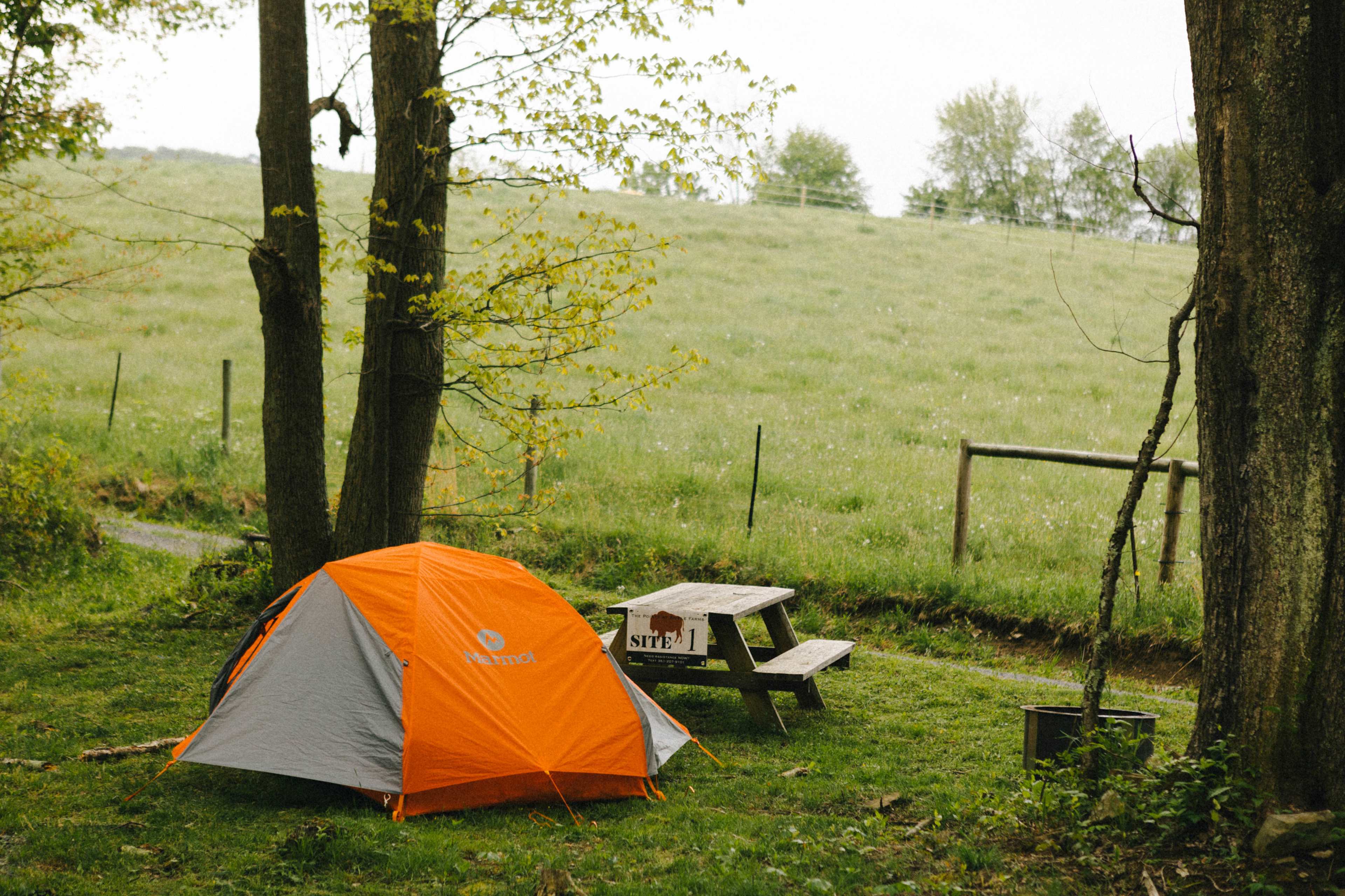 campsite 1 