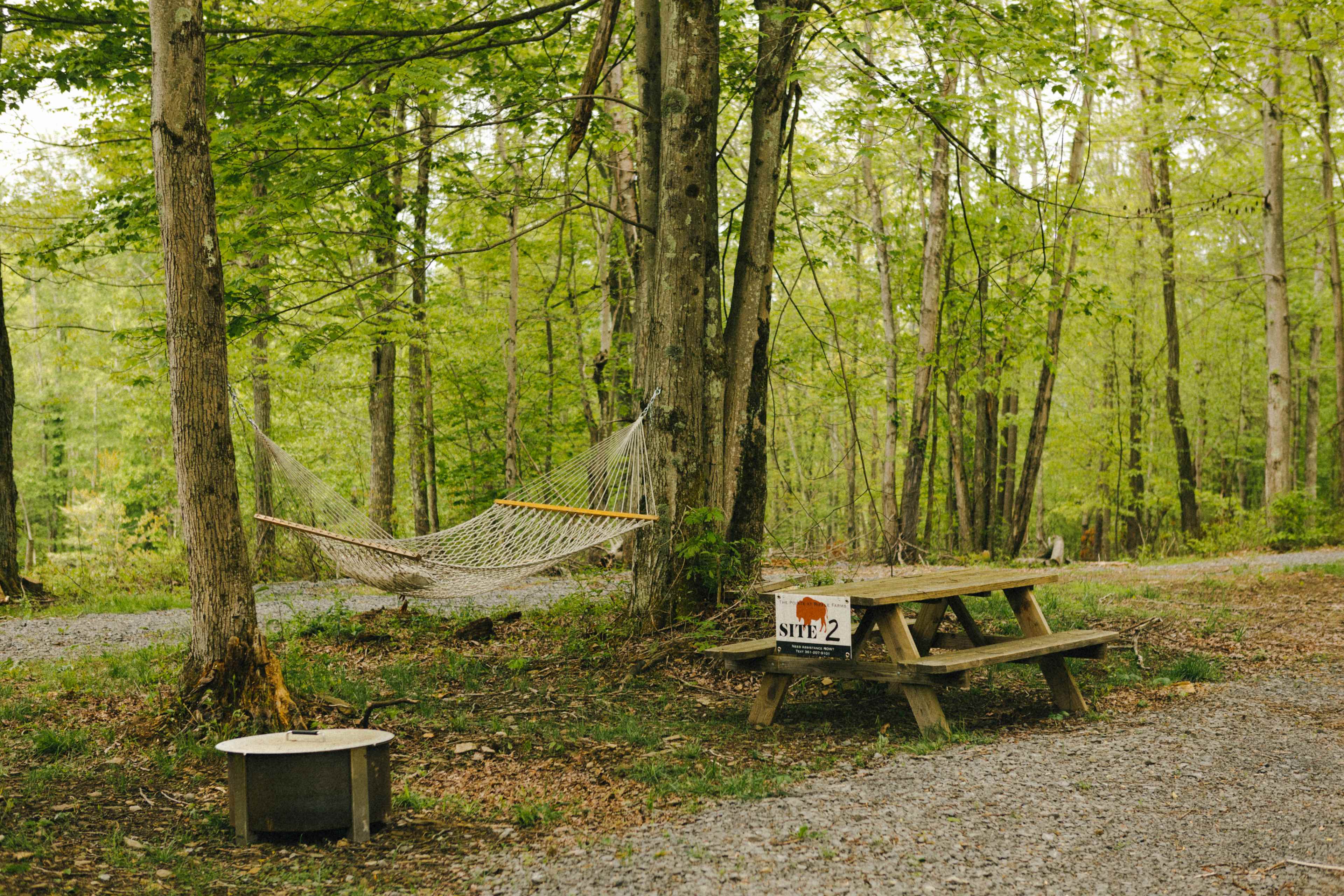 campsite 2 