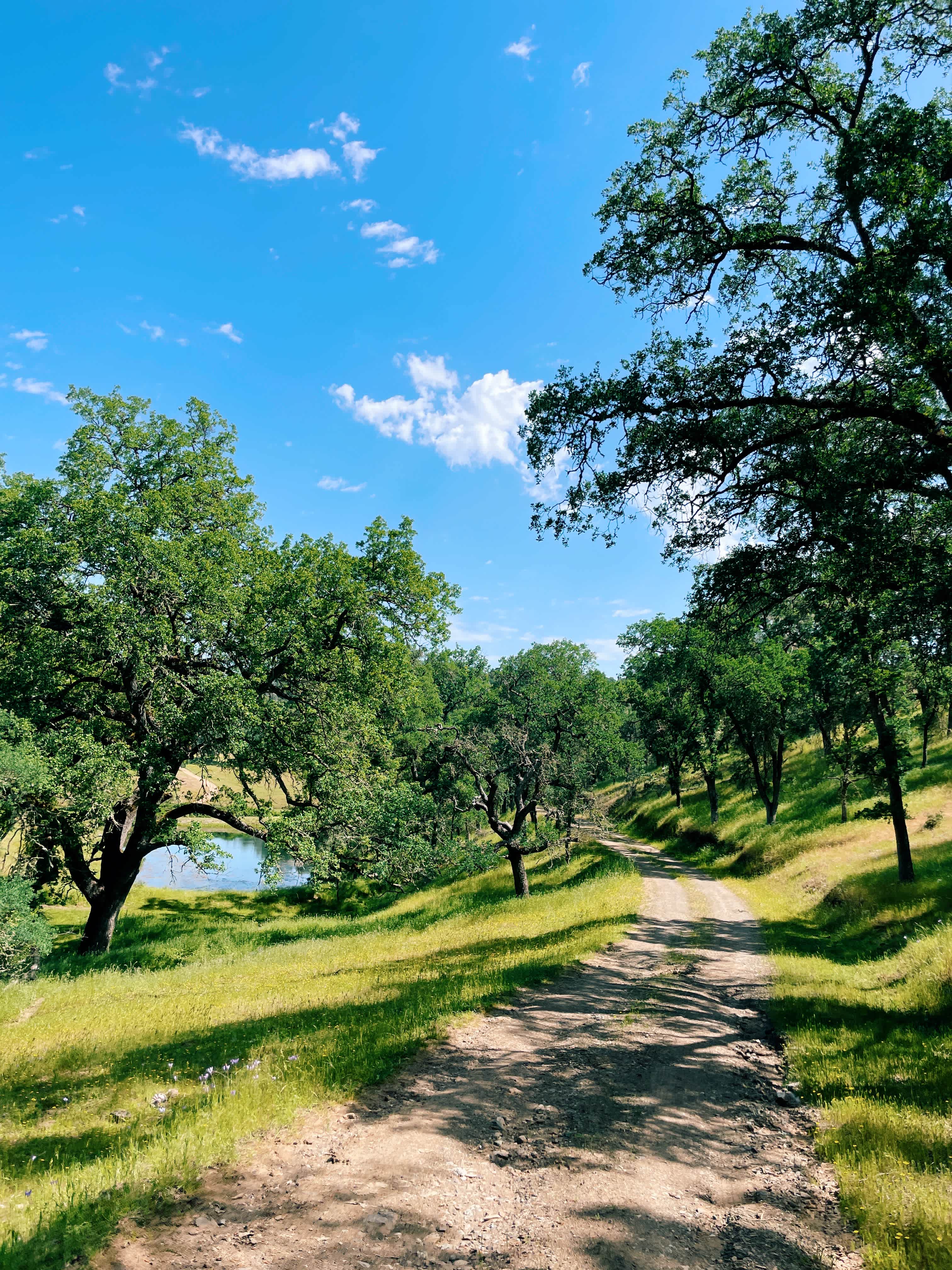 Cosumnes River Ranch