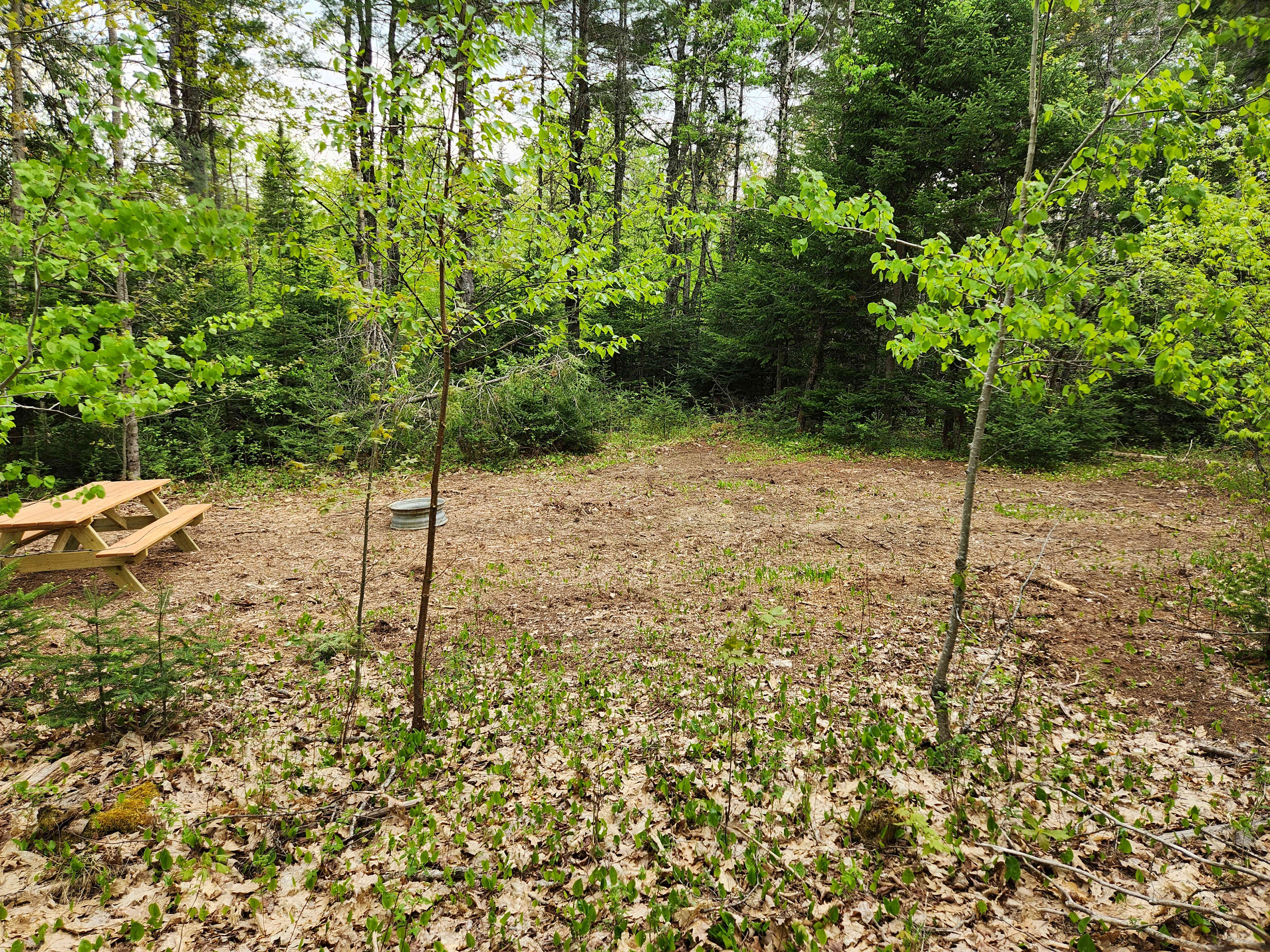 15 Mile Stream Primitive Campground