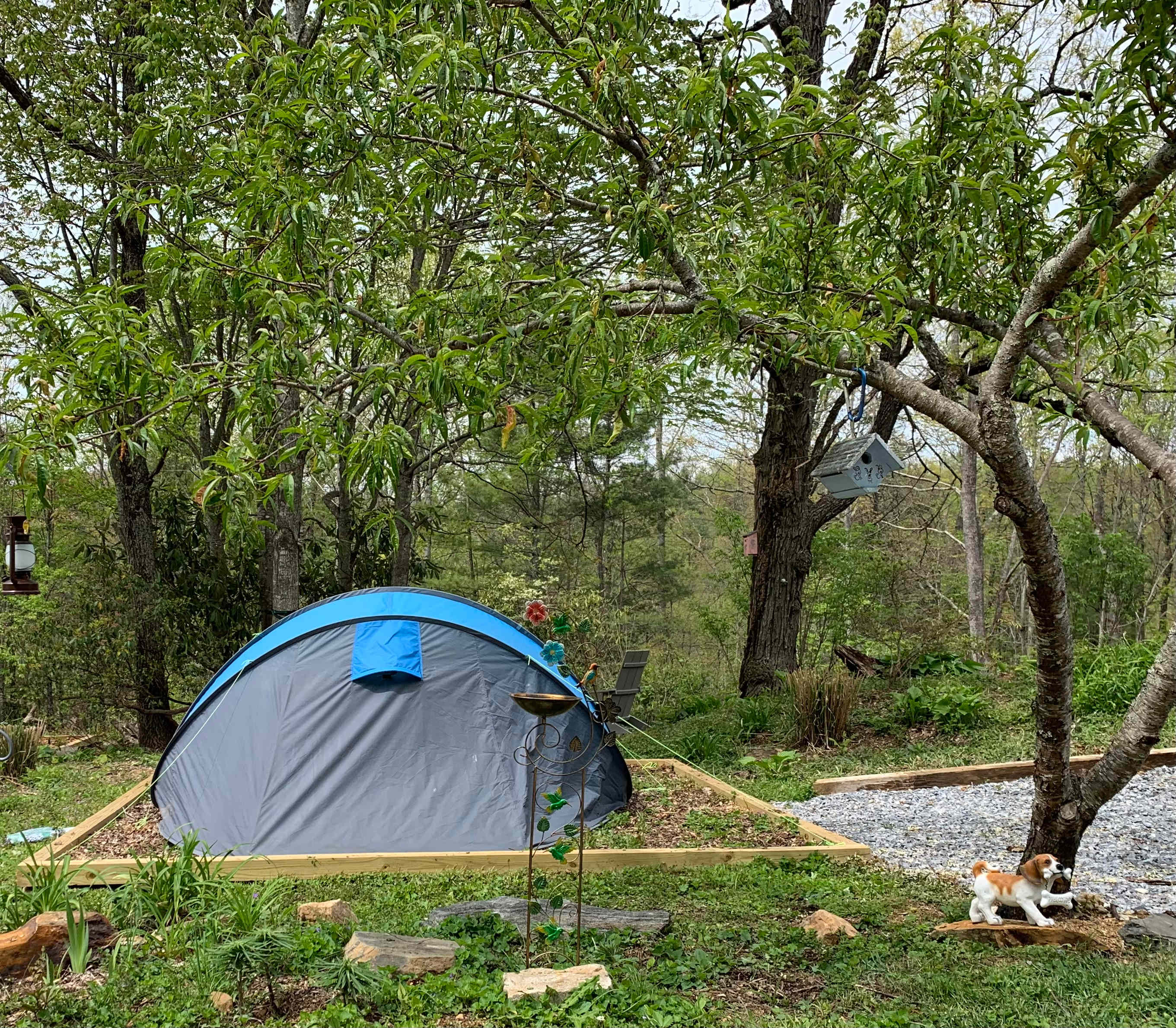 Need an 8x8 or 10x10 pop up canopy over your tent site or in your camping area? For just $10.00 extra dollars we can do that for you! The Ruby site
