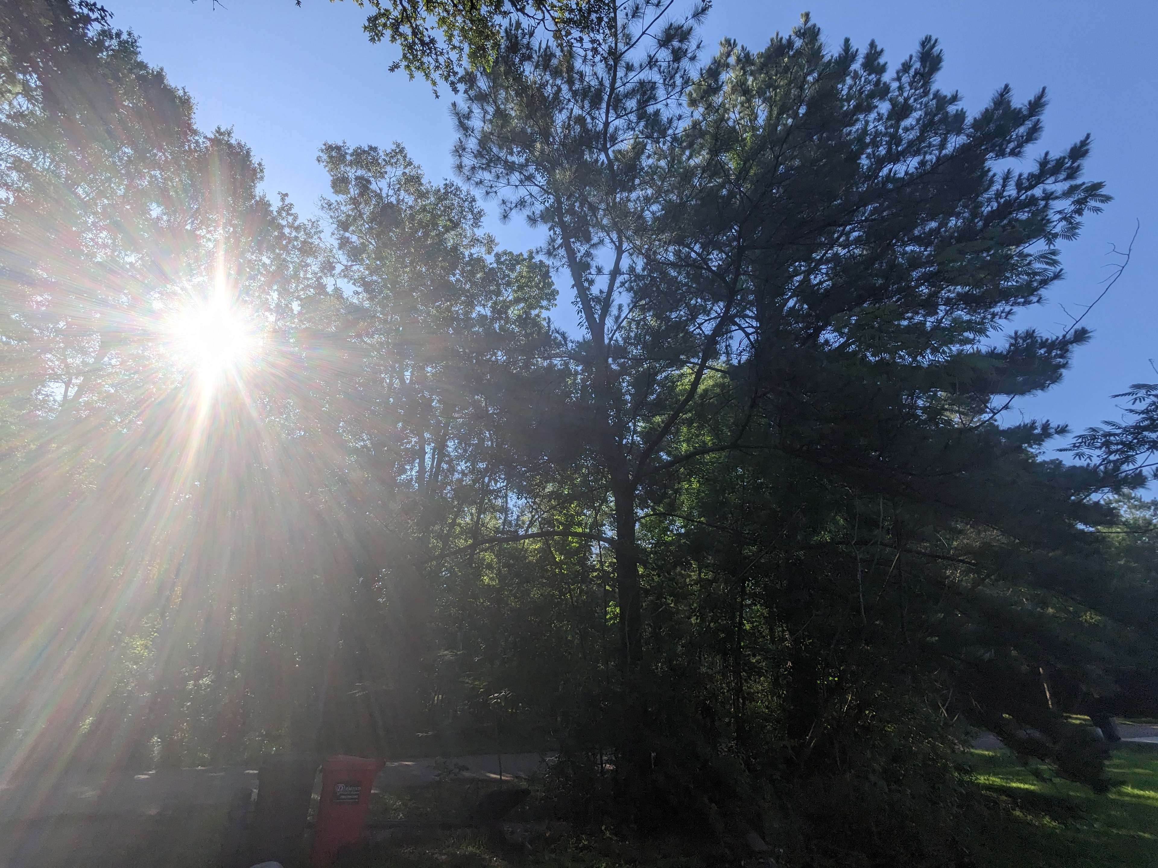 Morning View from Parking Lot