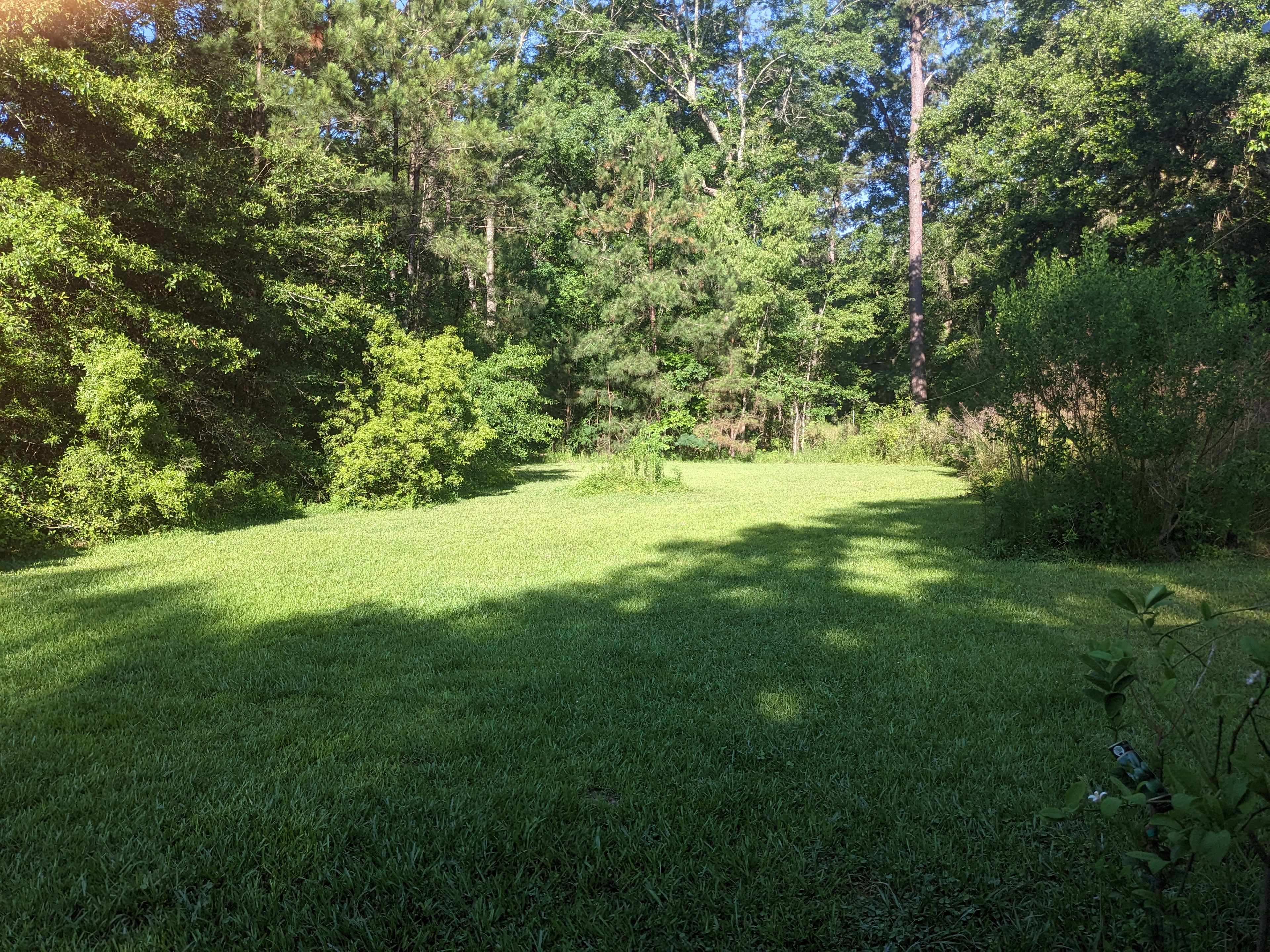 Campsite