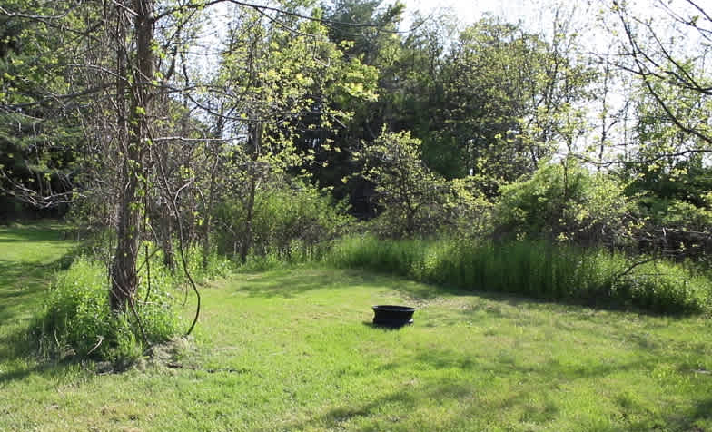 Blacks Hollow