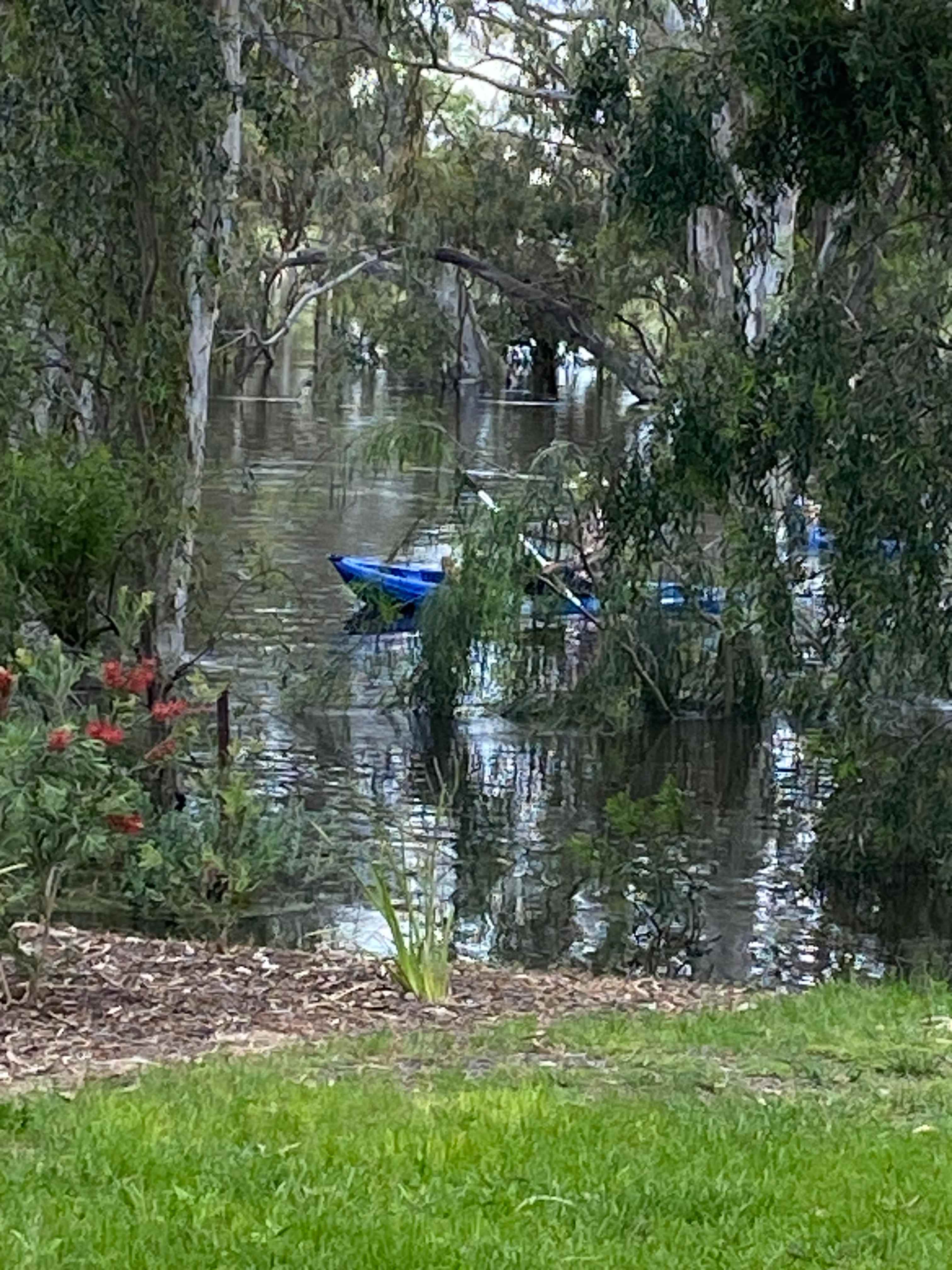 Wanganella Camp Park