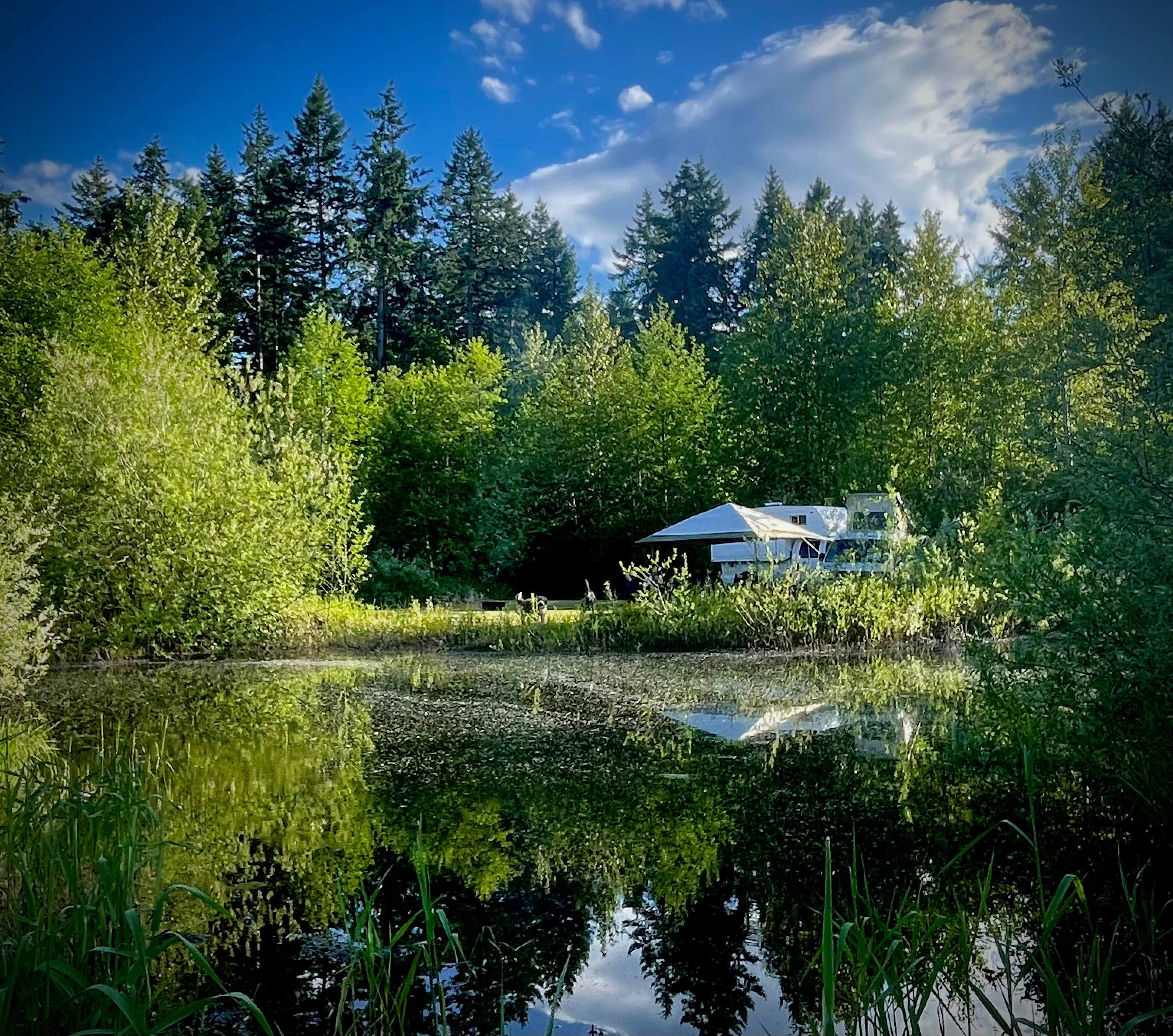 Field Sites & Secluded Tent Sites