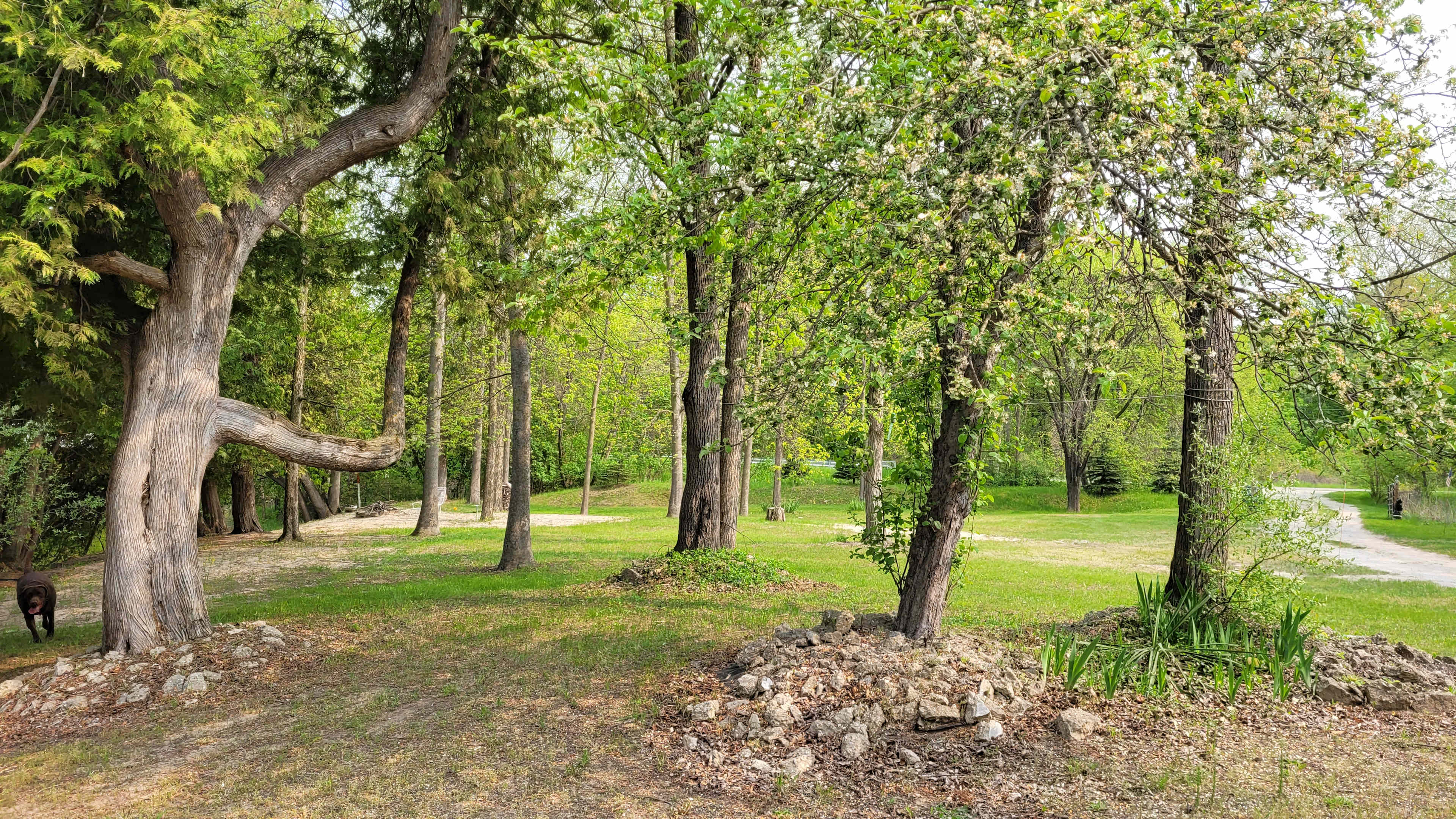 Picture of the site