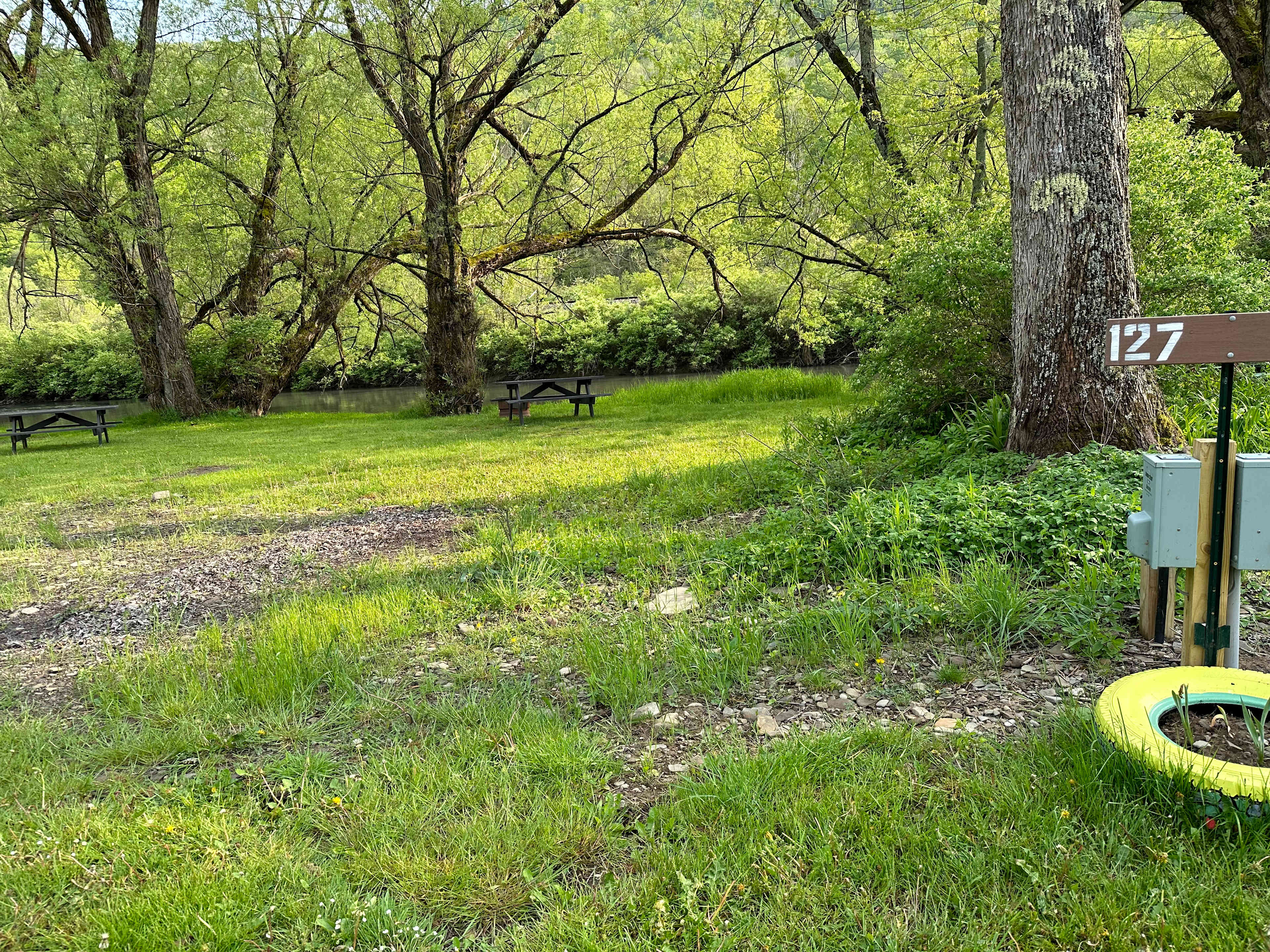 Campground Adventures