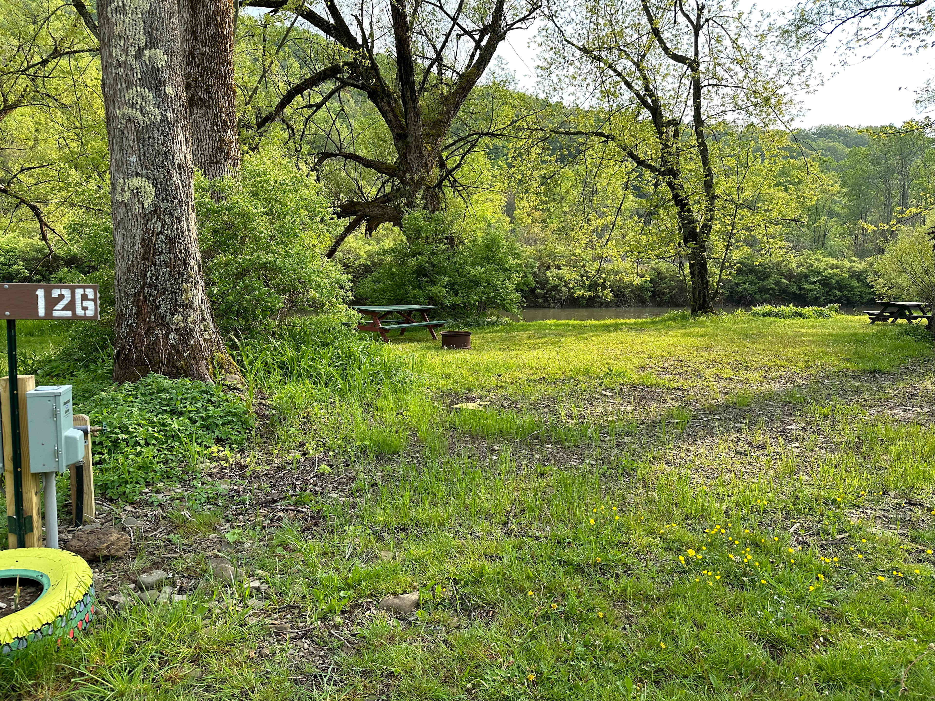 Campground Adventures