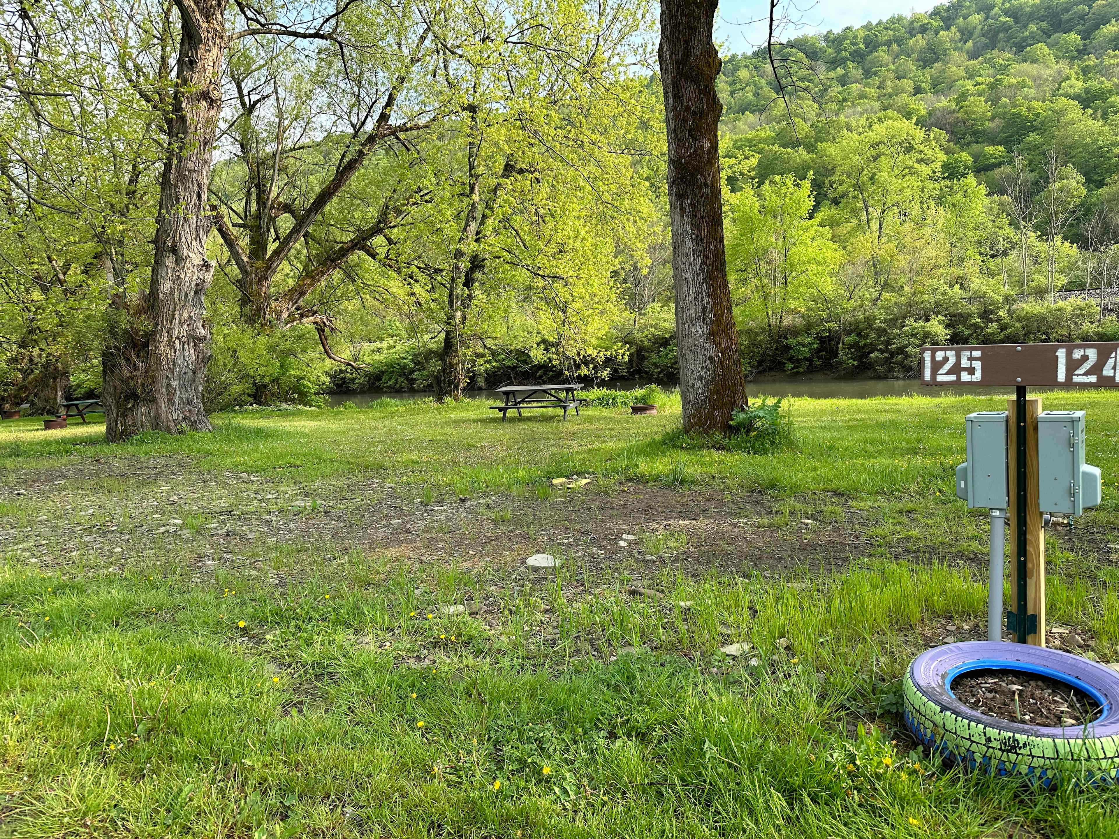 Campground Adventures