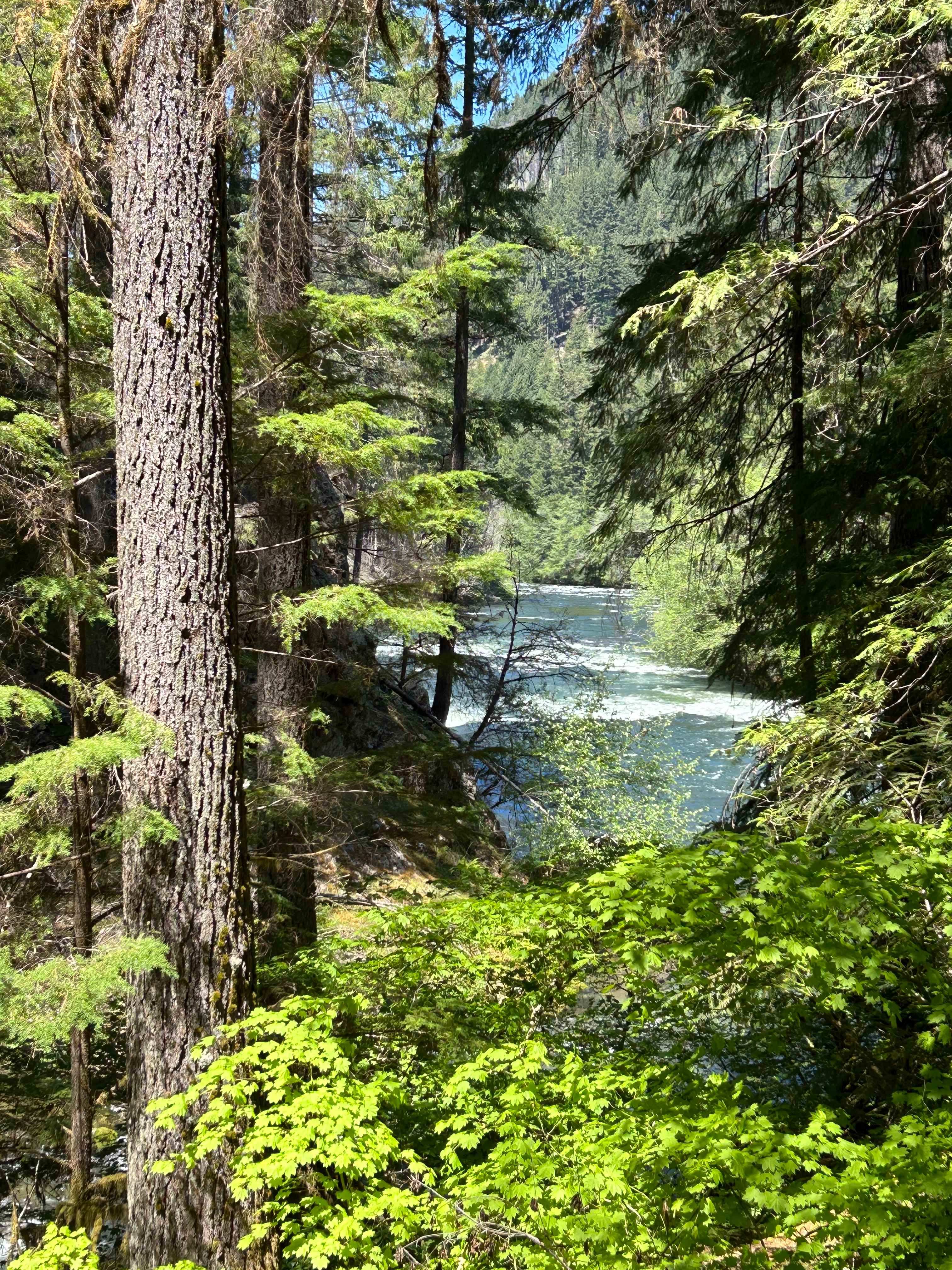 Umpqua's Last Resort